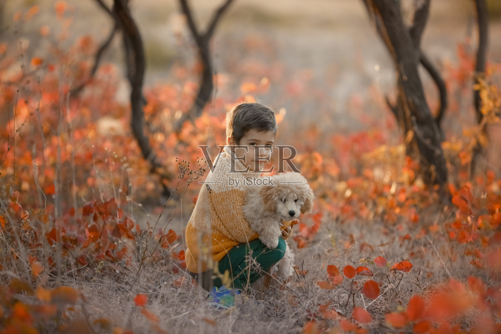 秋天，孩子们在森林里散步照片摄影图片