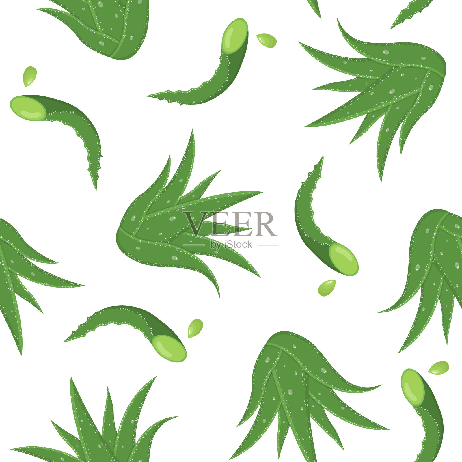 用芦荟药用植物切叶在白色背景上分离的无缝图案。卡通风格。矢量插图为任何设计。插画图片素材