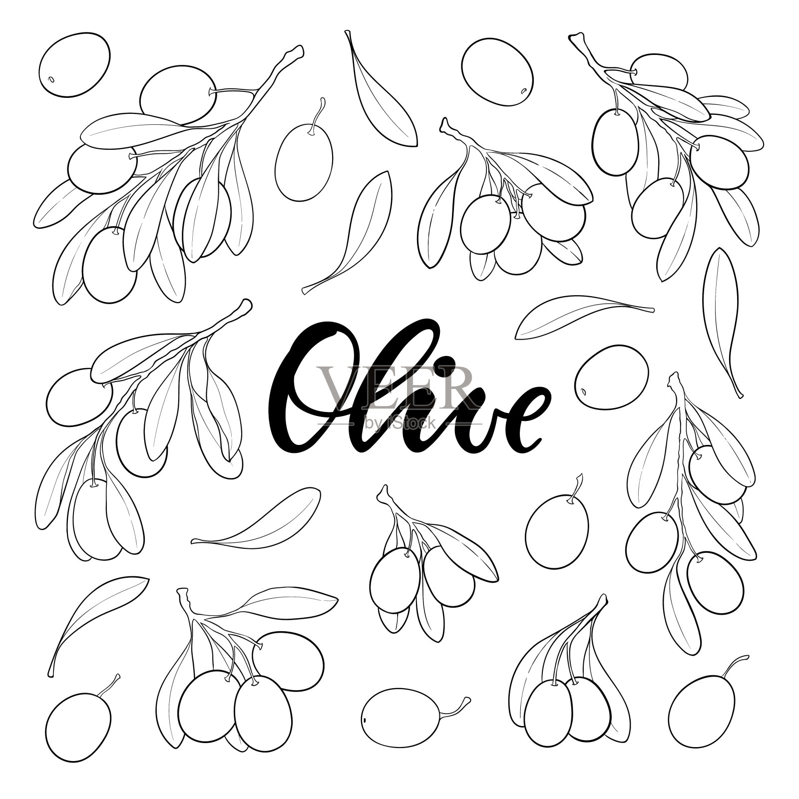 一套黑色和白色的轮廓橄榄枝与叶子和橄榄孤立的背景。设计餐厅，咖啡馆，菜单，有机化妆品与橄榄油。包装装饰，标志，插图。插画图片素材