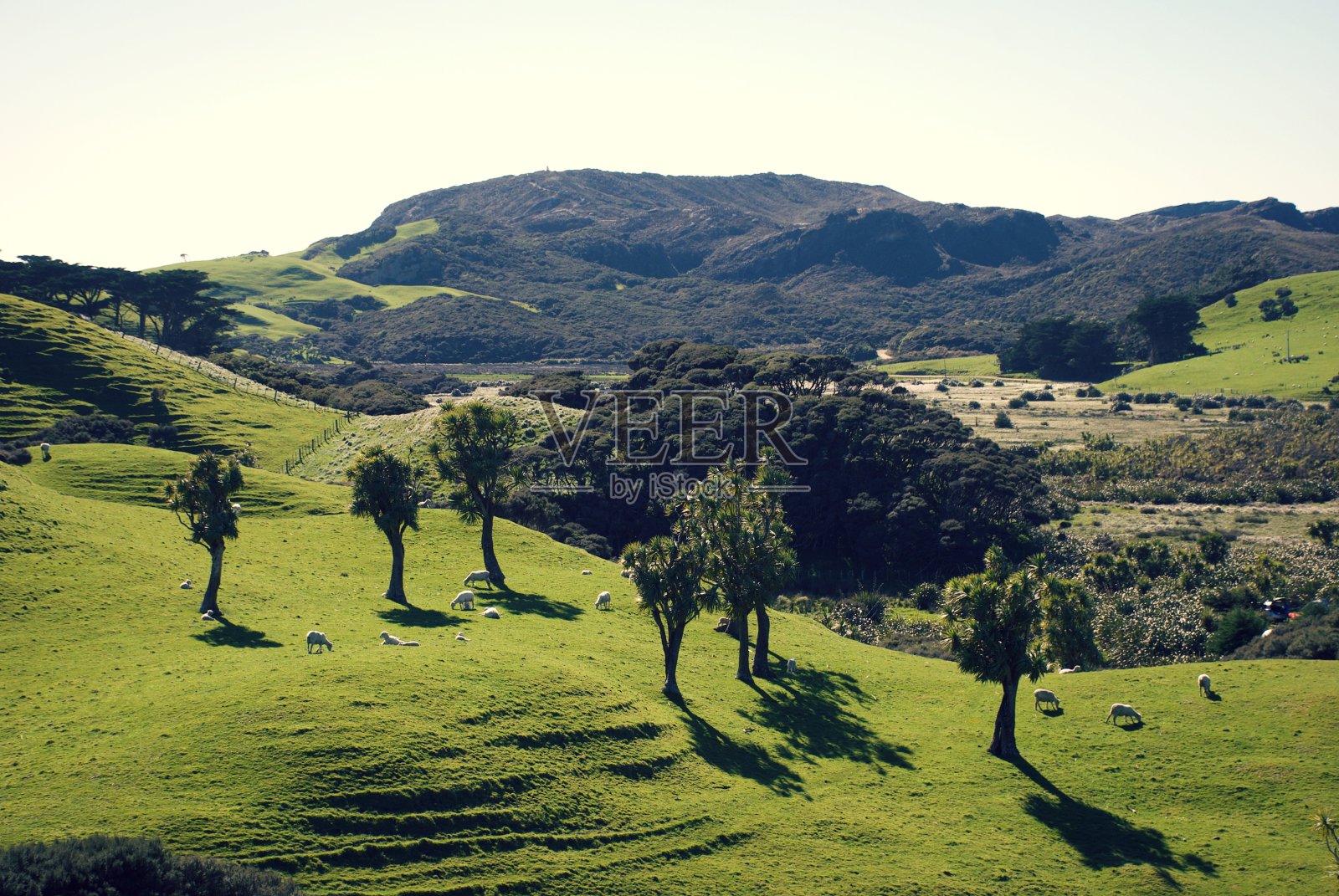 新西兰乡村/ Aotearoa景观照片摄影图片