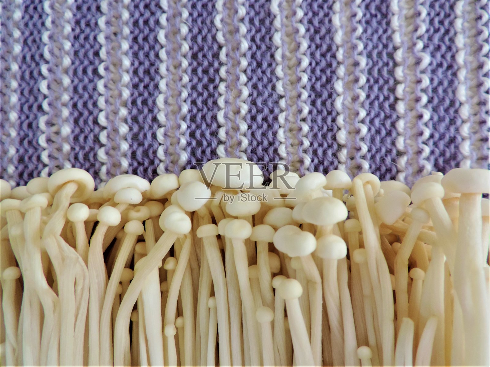 蘑菇的模式。照片摄影图片