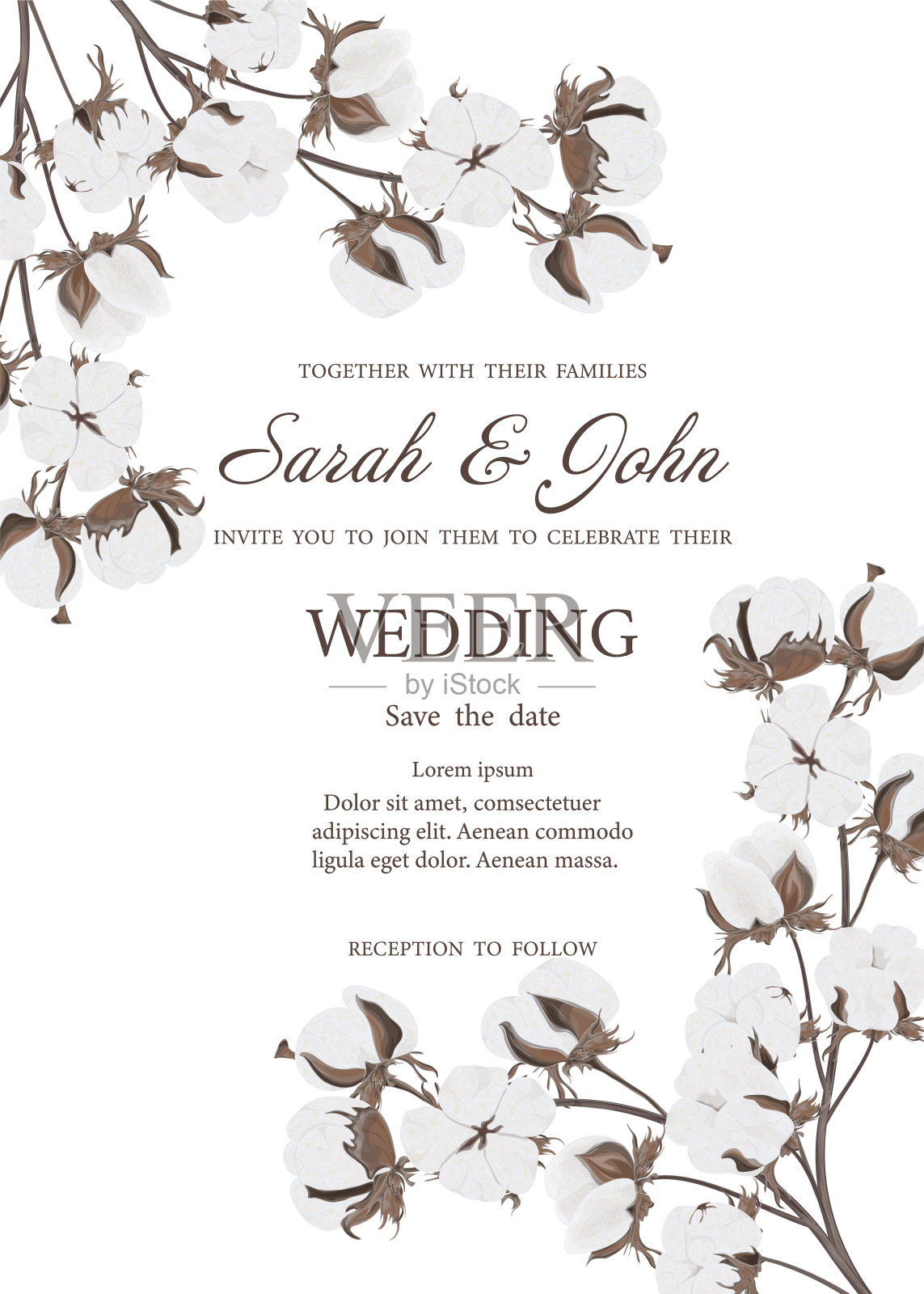 婚礼请柬用棉花花植物水彩画，孤立上白色。设计模板素材