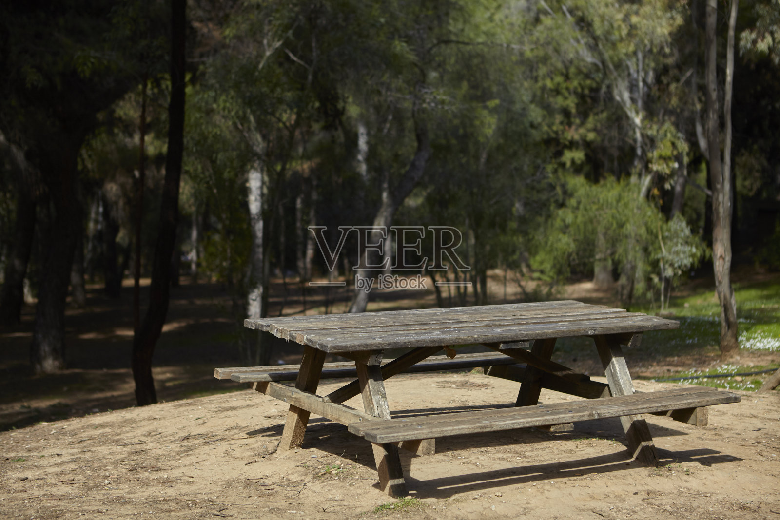 希腊森林里的野餐桌照片摄影图片