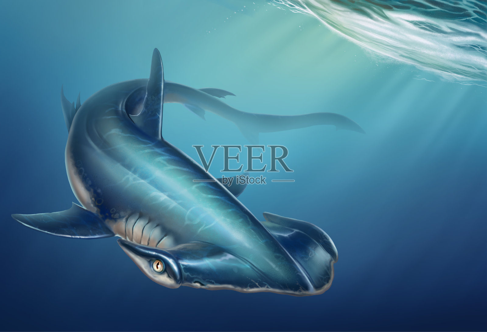 锤头鲨背景逼真的插图在海底。插画图片素材