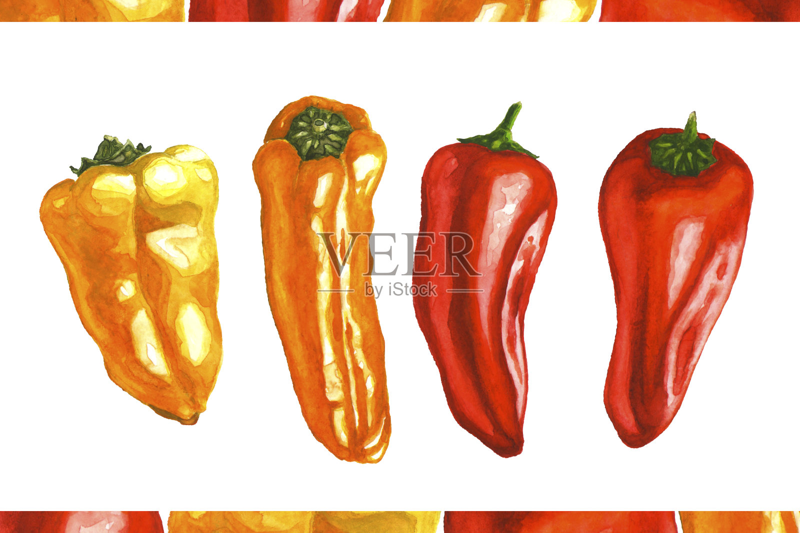 黄色，红色和橙色的小甜椒。新鲜的甜辣椒。手绘水彩插图孤立的白色背景。用于菜单或食谱的设计元素插画图片素材