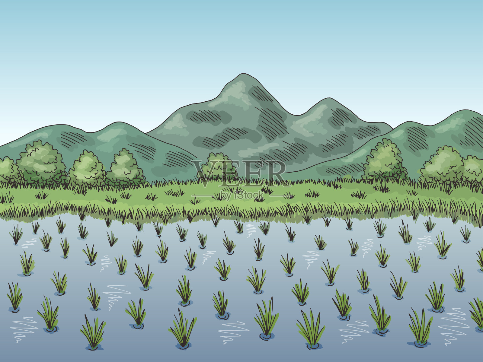 稻田图形颜色景观素描插图向量插画图片素材