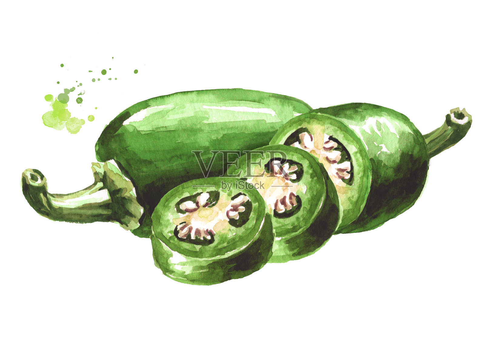 墨西哥青辣椒，整粒和切片的豆荚。手绘水彩插图，孤立的白色背景插画图片素材