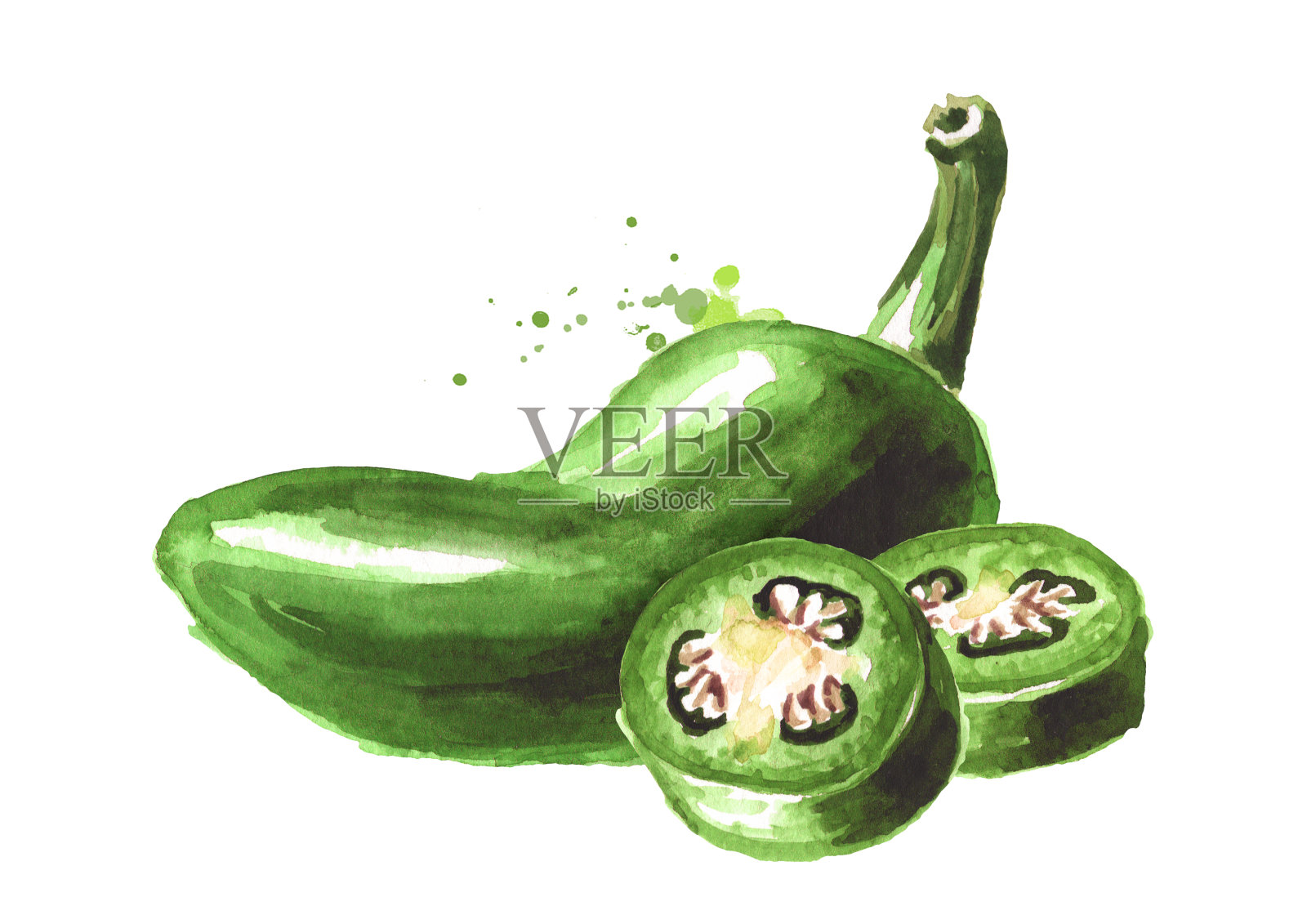 墨西哥辣椒，青辣椒，青椒。手绘水彩插图孤立的白色背景插画图片素材