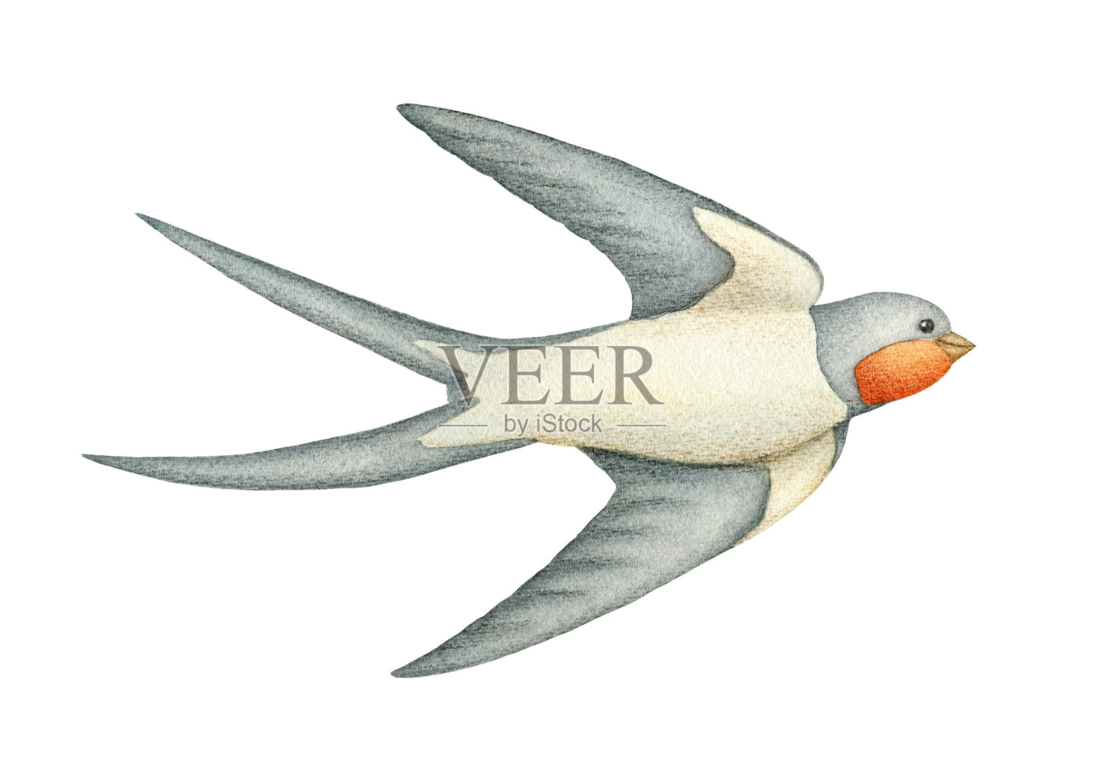 燕子手绘水彩剪贴元素孤立的白色背景插画图片素材