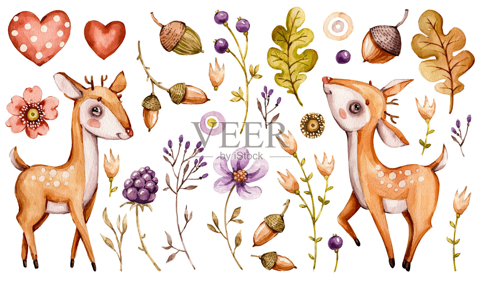 可爱的小鹿。森林水彩画苗圃卡通森林动物鹿，森林花朵树叶。可爱的幼儿园插画图片素材