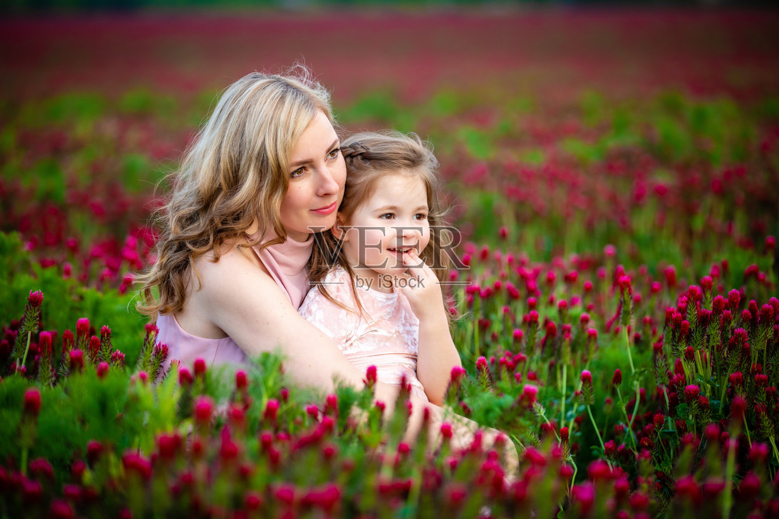 美丽的微笑的孩子女孩和年轻的母亲在家庭看在三叶草花的田野在日落时间照片摄影图片