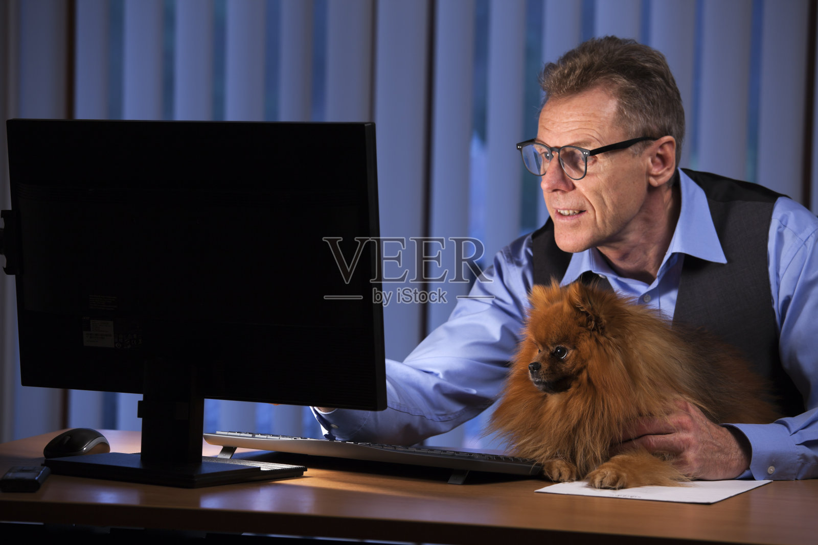 一个成熟的商人，晚上和他的狗一起在办公室的电脑屏幕前看——注意看狗的脸照片摄影图片