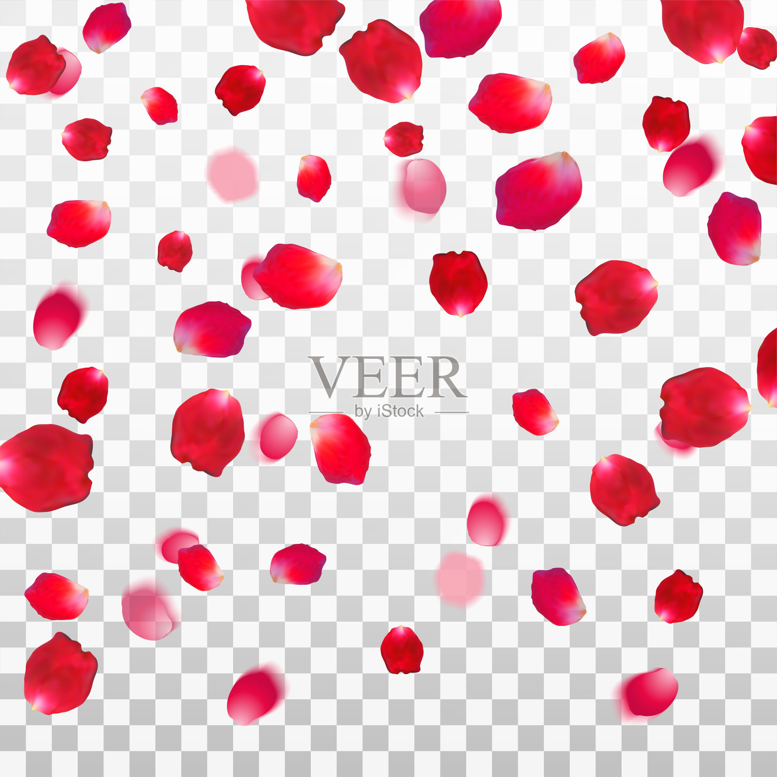 抽象背景与飞行的红色玫瑰花瓣在白色透明的背景。矢量插图。每股收益10。设计元素图片