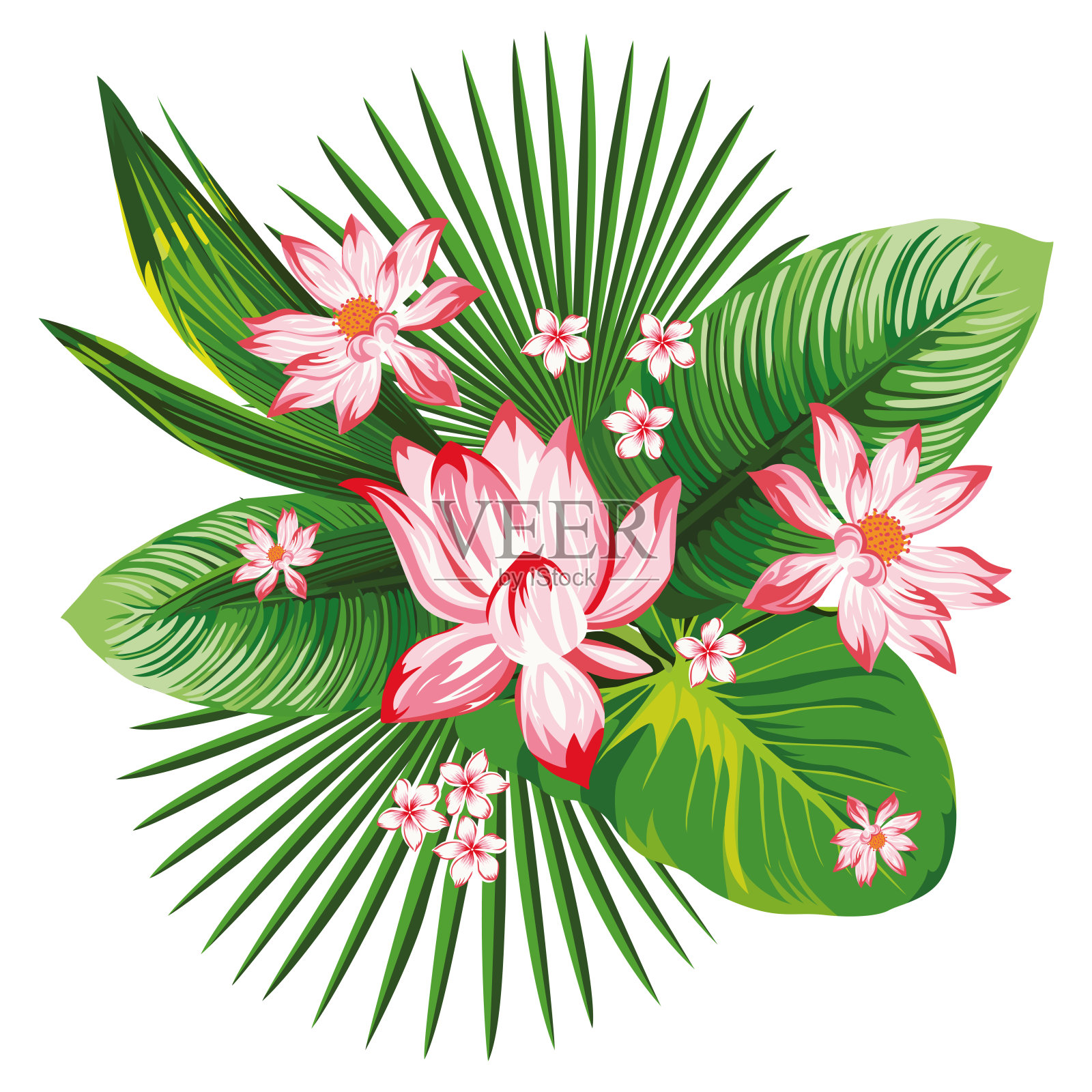 热带植物成分粉红色荷花绿叶设计元素图片