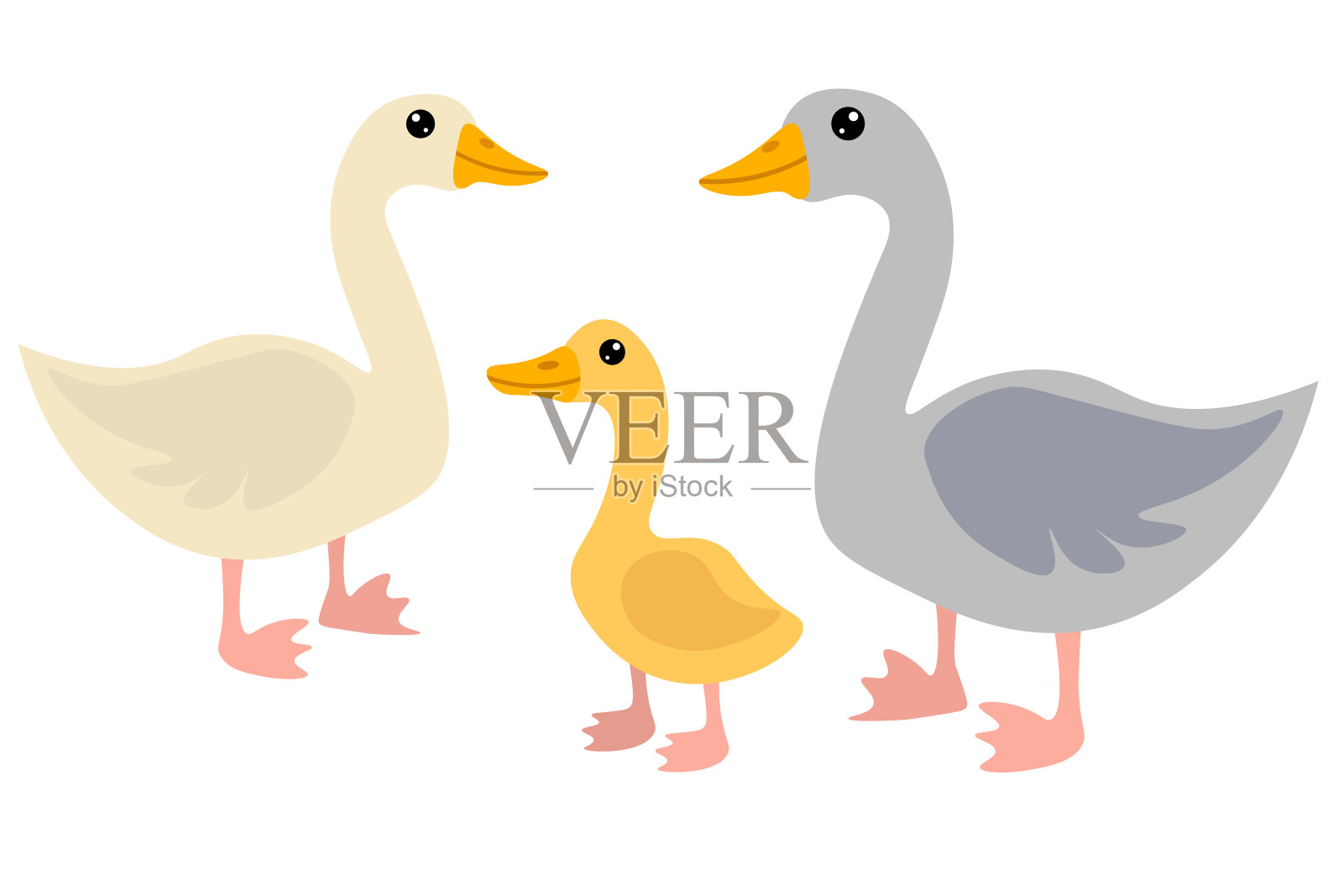 可爱的卡通鹅家庭在平坦的风格孤立在白色的背景。鸟妈妈，鸟爸爸和鸟宝宝。农场动物。矢量插图。插画图片素材