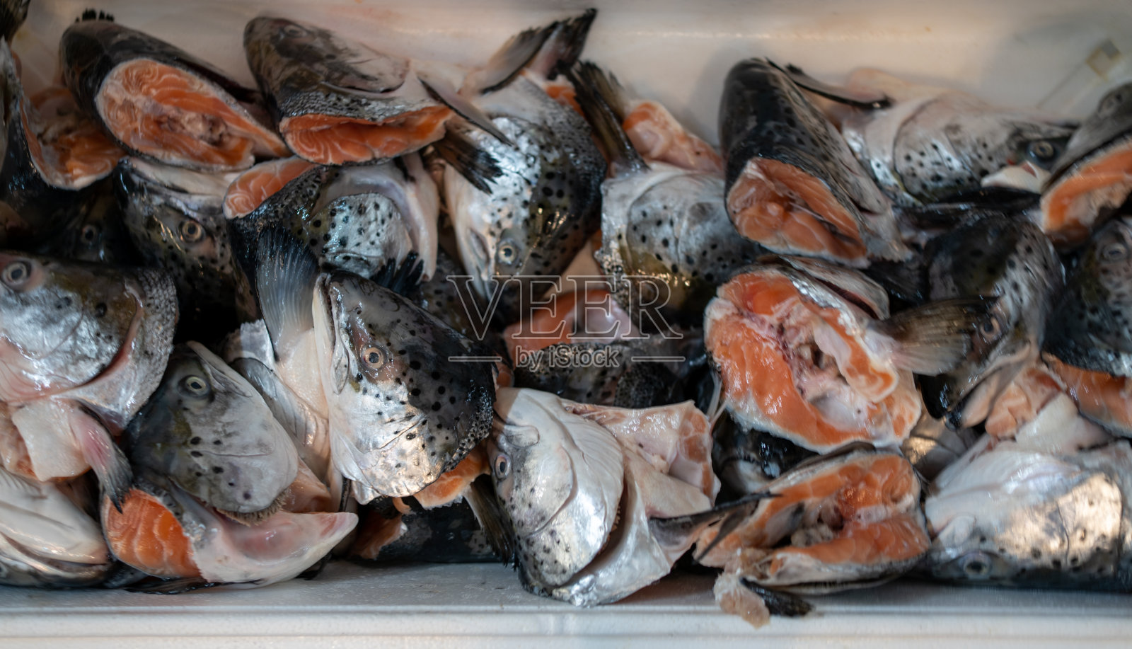 食物市场的鱼照片摄影图片