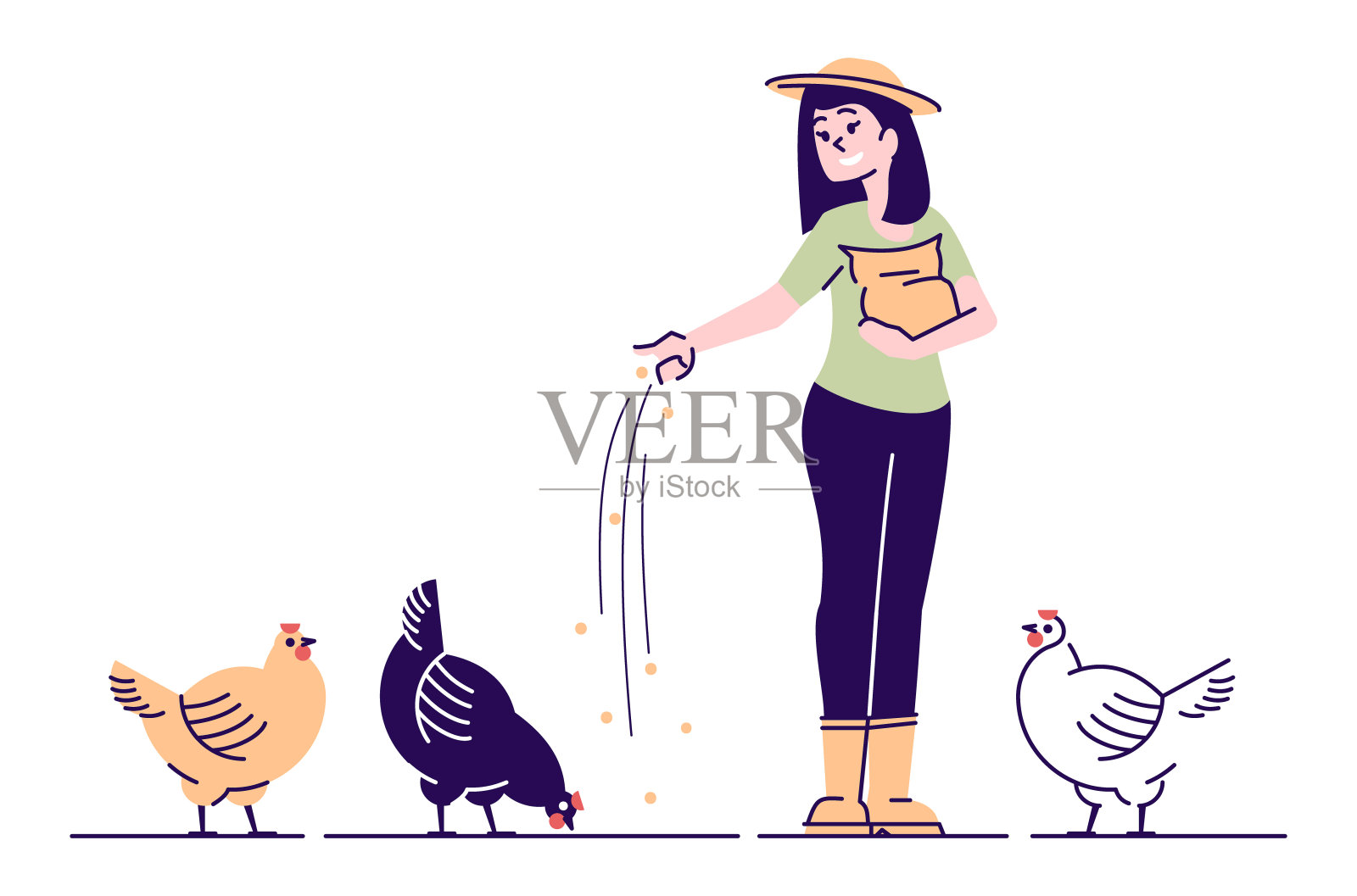养殖户饲养的鸡呈扁平病特征。家禽后院农场卡通概念与大纲。用谷物喂鸡的农村妇女。家禽养殖、养鸡场、有机禽鸟农业插画图片素材
