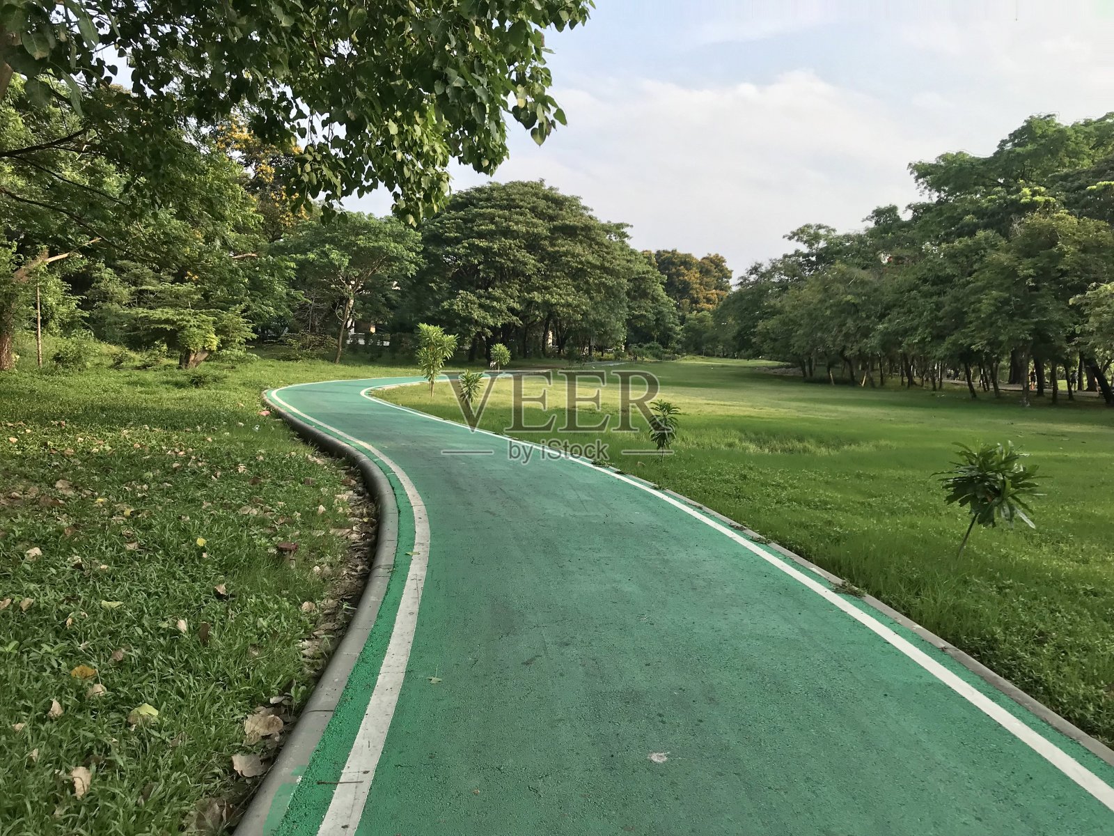公园里有一条绿色的自行车道照片摄影图片