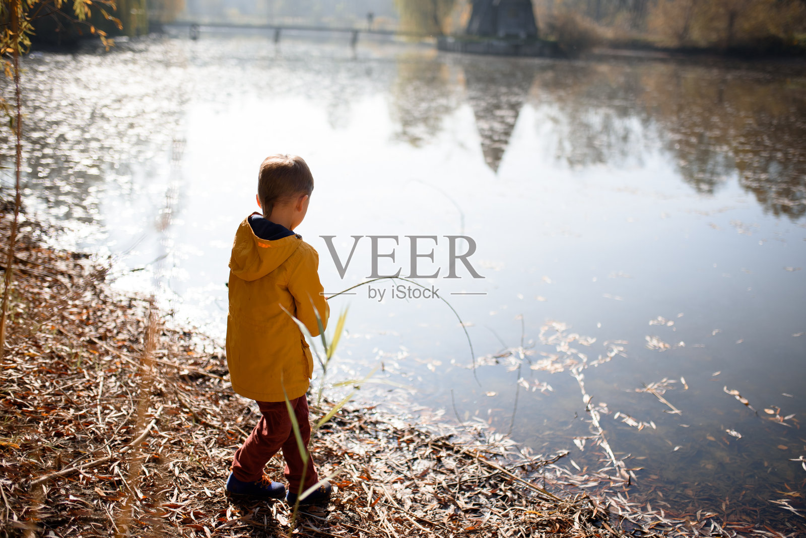 小男孩在捷克普鲁霍尼斯的秋天公园里喂鸭子和鱼，爬树，骑自行车，散步照片摄影图片