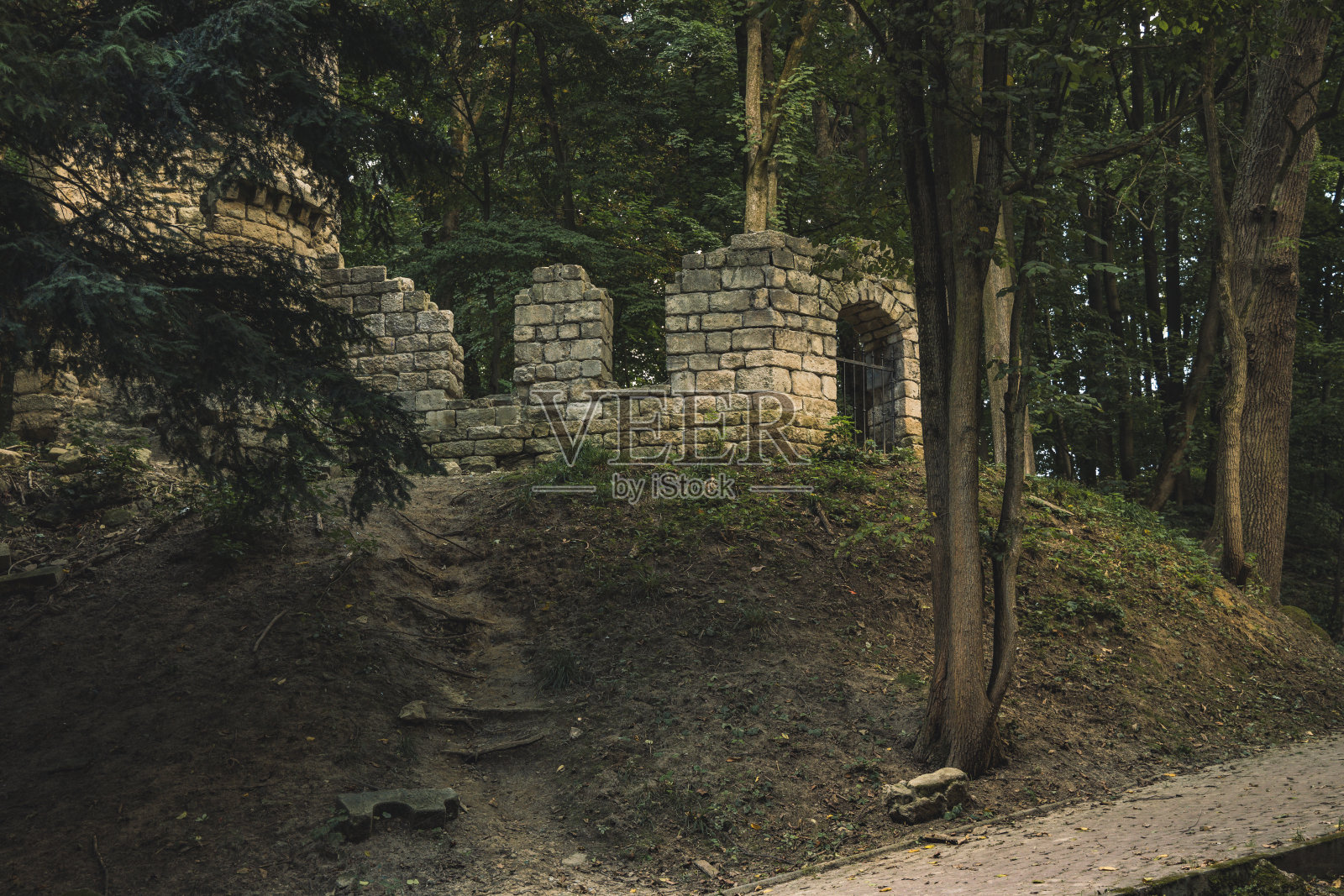 城堡废墟在穆迪森林风景环境景观视野铺就的道路山丘和柔和的阳光透过树叶神秘而大气的中欧乡村边空间照片摄影图片
