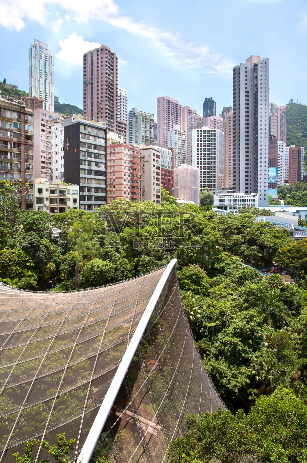 从香港公园眺望半山及尤德鸟舍照片摄影图片