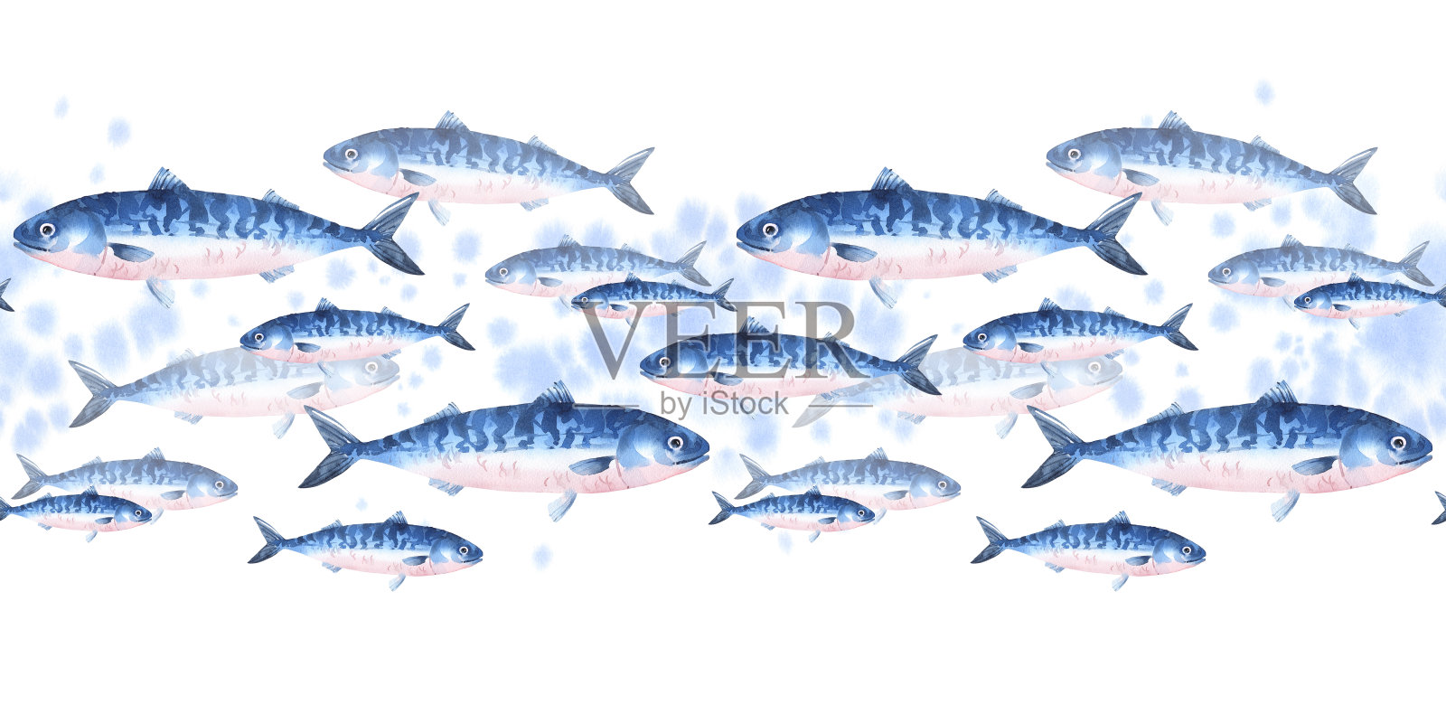 一群鲭鱼插画图片素材
