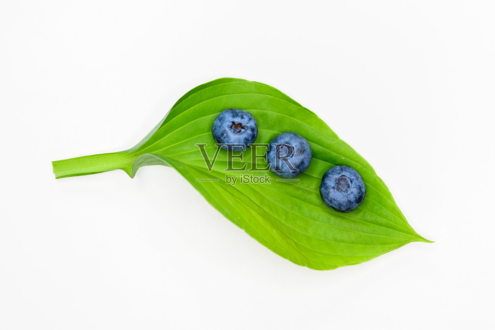 生态蓝莓。自然生态蓝莓。为文本复制空间。健康的食物照片摄影图片