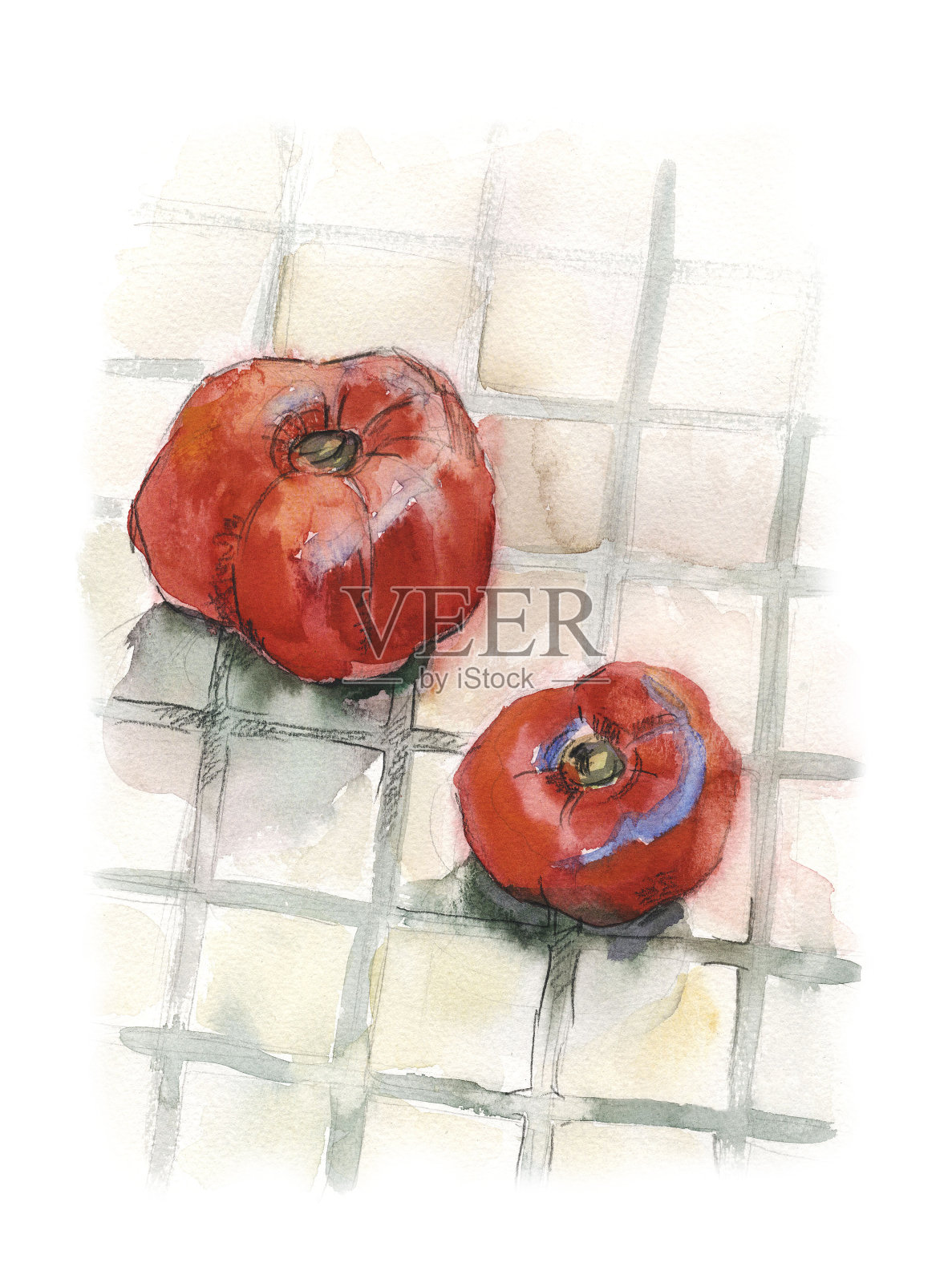 方砖地板上放着两个成熟的红番茄。水彩画插图。插画图片素材