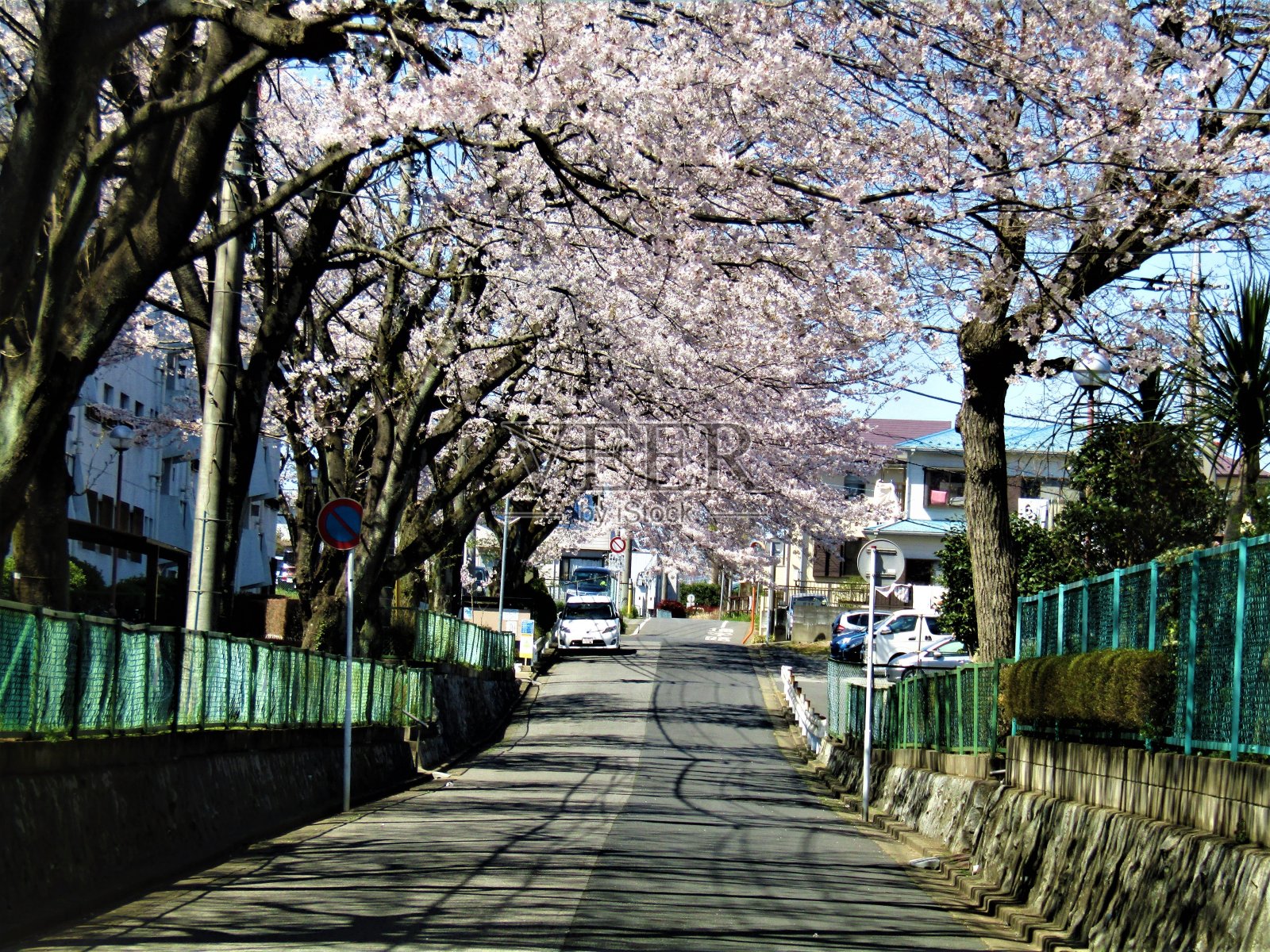 日本。3月底。流山城樱花街。照片摄影图片