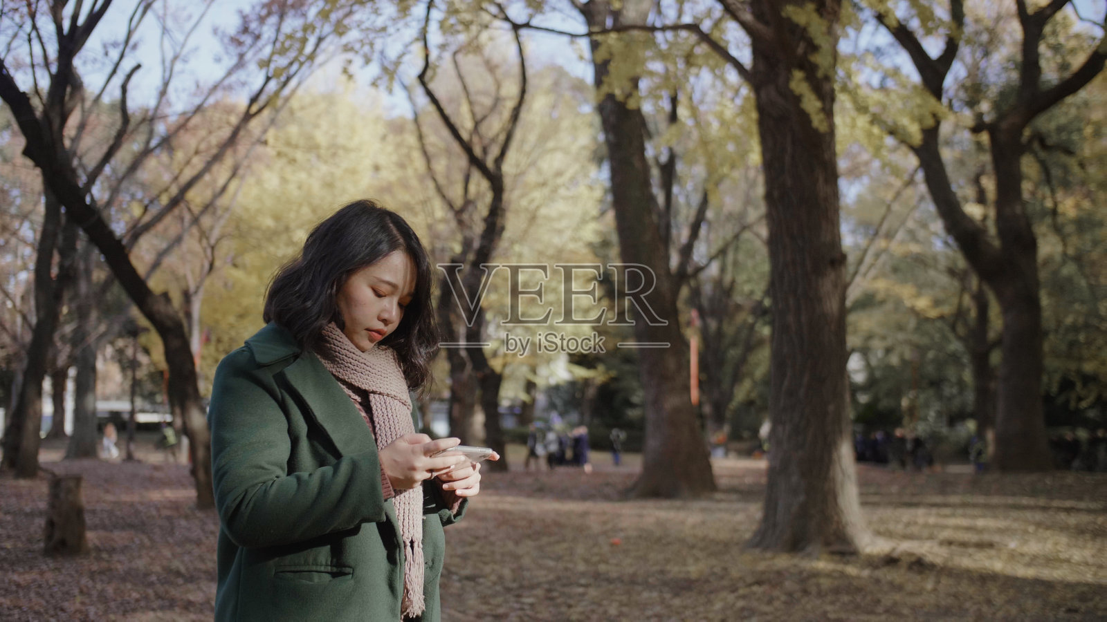 在日本，女游客用智能手机欣赏美丽的秋天风景。照片摄影图片