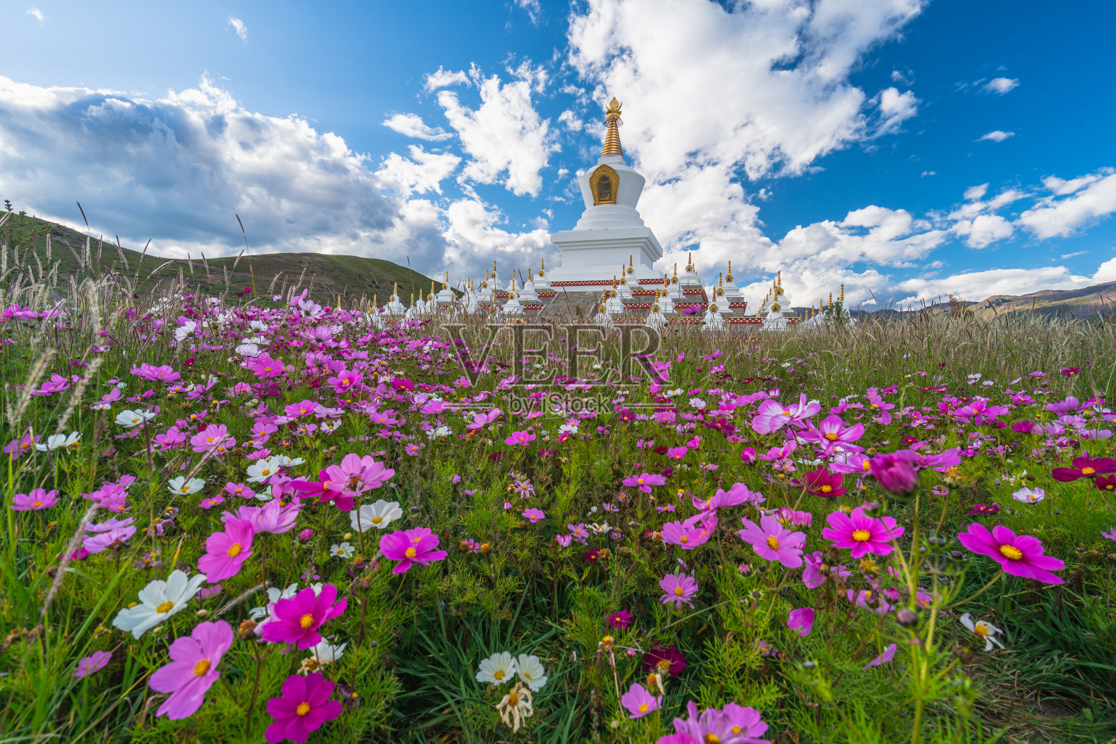 纳木雅塔林，藏传佛教风格的花白塔在稻城，甘孜，四川，中国照片摄影图片
