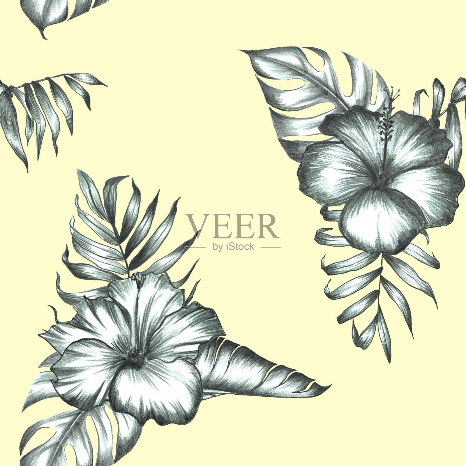 棕榈树和芭蕉叶的无缝图案，带有热带花朵。热带设计铅笔。插画图片素材