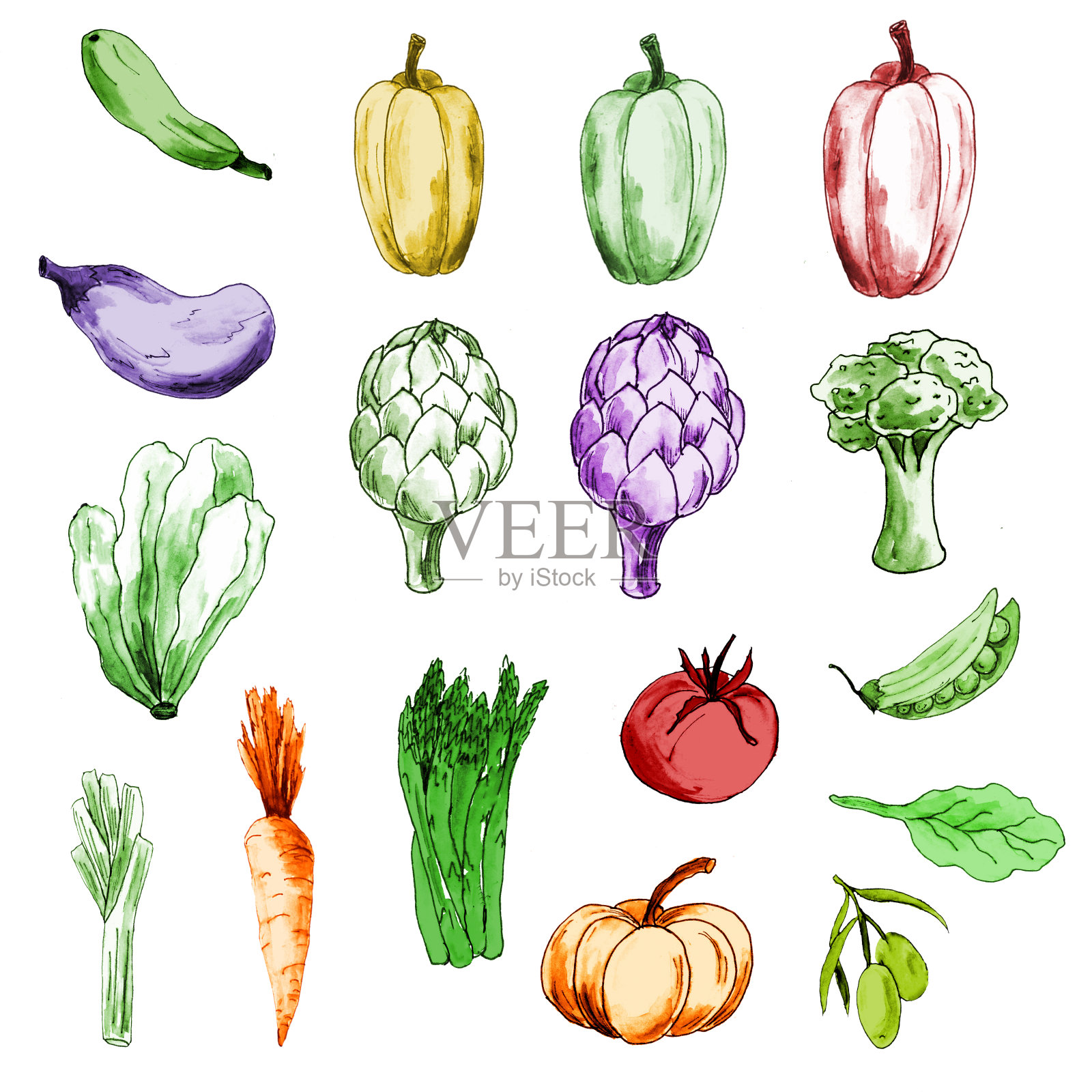 蔬菜集-胡椒，西葫芦，沙拉，芦笋，洋蓟，西兰花，豌豆，番茄，橄榄。有机食物。设置为标志设计。插画图片素材
