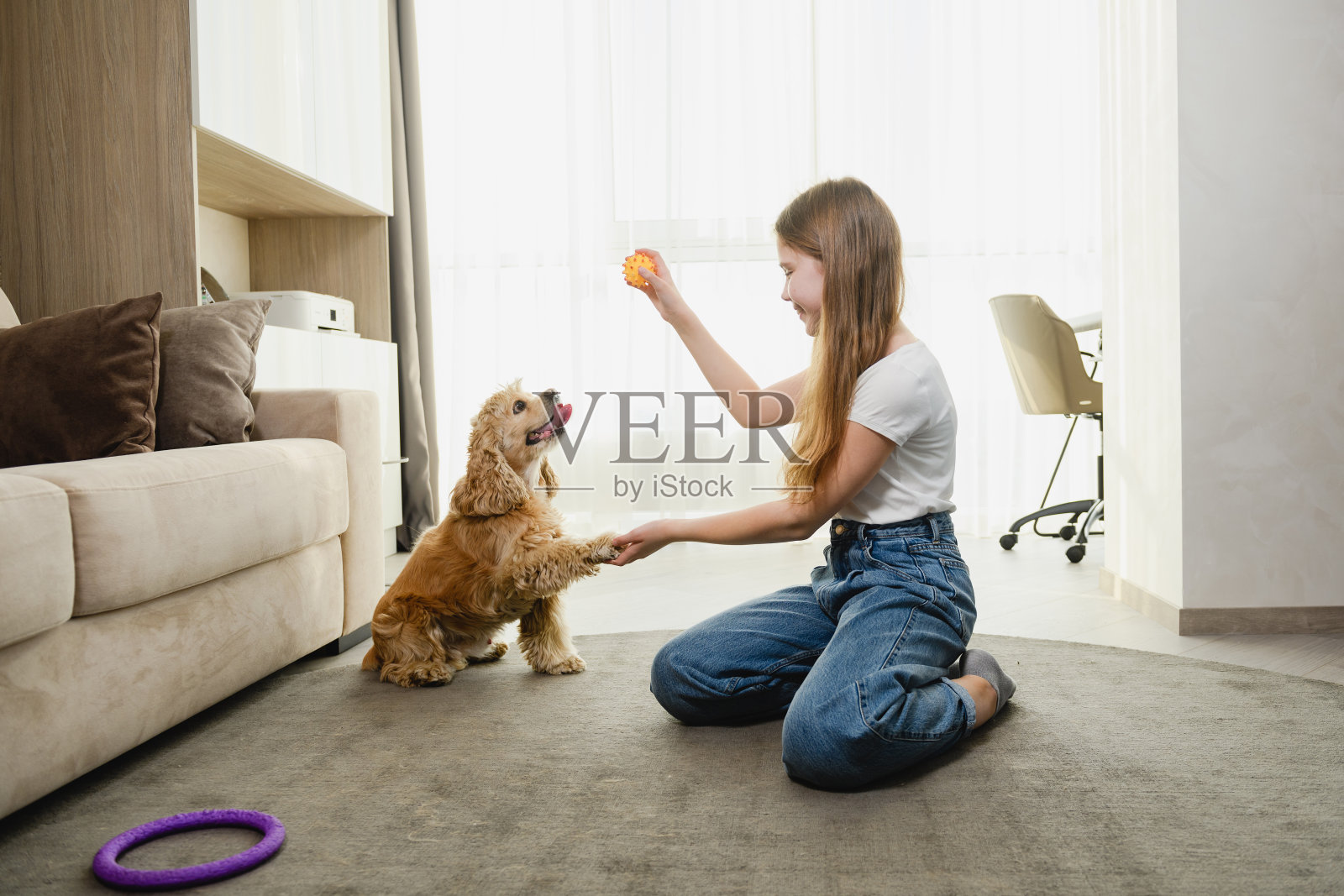家庭训练狗检疫期间在家时间照片摄影图片