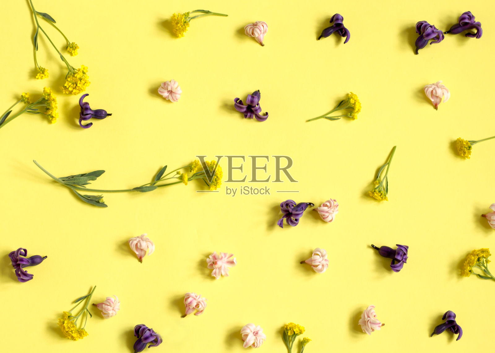 黄色的背景上有许多五颜六色的花。风信子和野花。花的背景。照片摄影图片