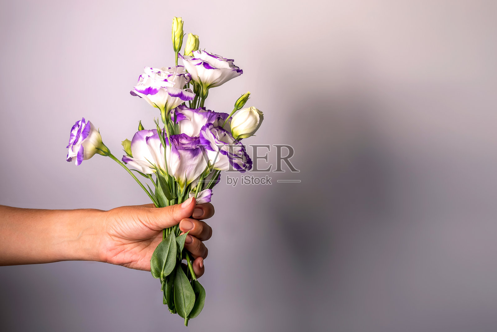 鲜花礼物。美丽的花朵在女性手中。春天的时间和灵感。母亲节照片摄影图片