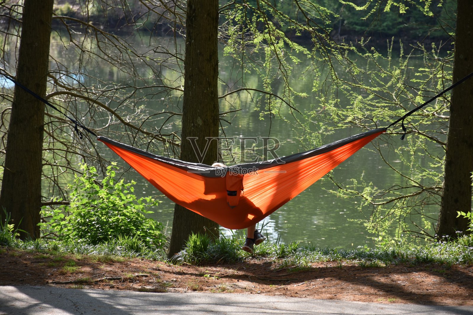 在公园湖边的吊床上休息的人照片摄影图片