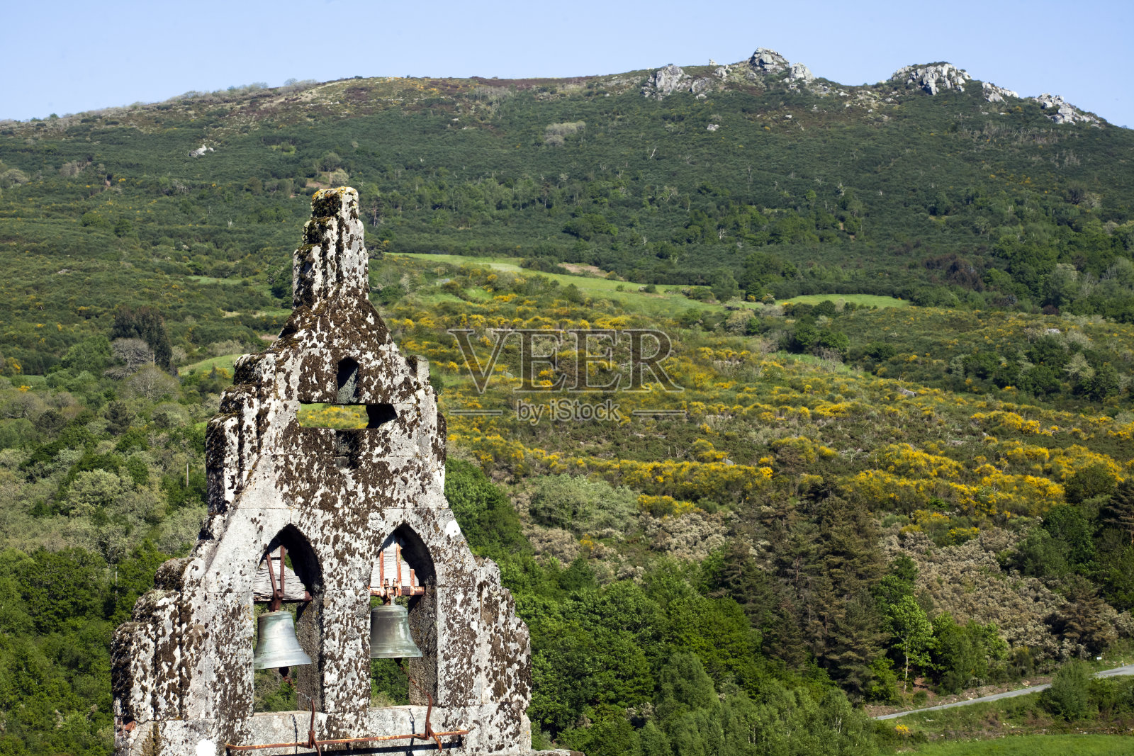 教堂钟楼，森林背景，欧伦塞省，加利西亚，西班牙。照片摄影图片