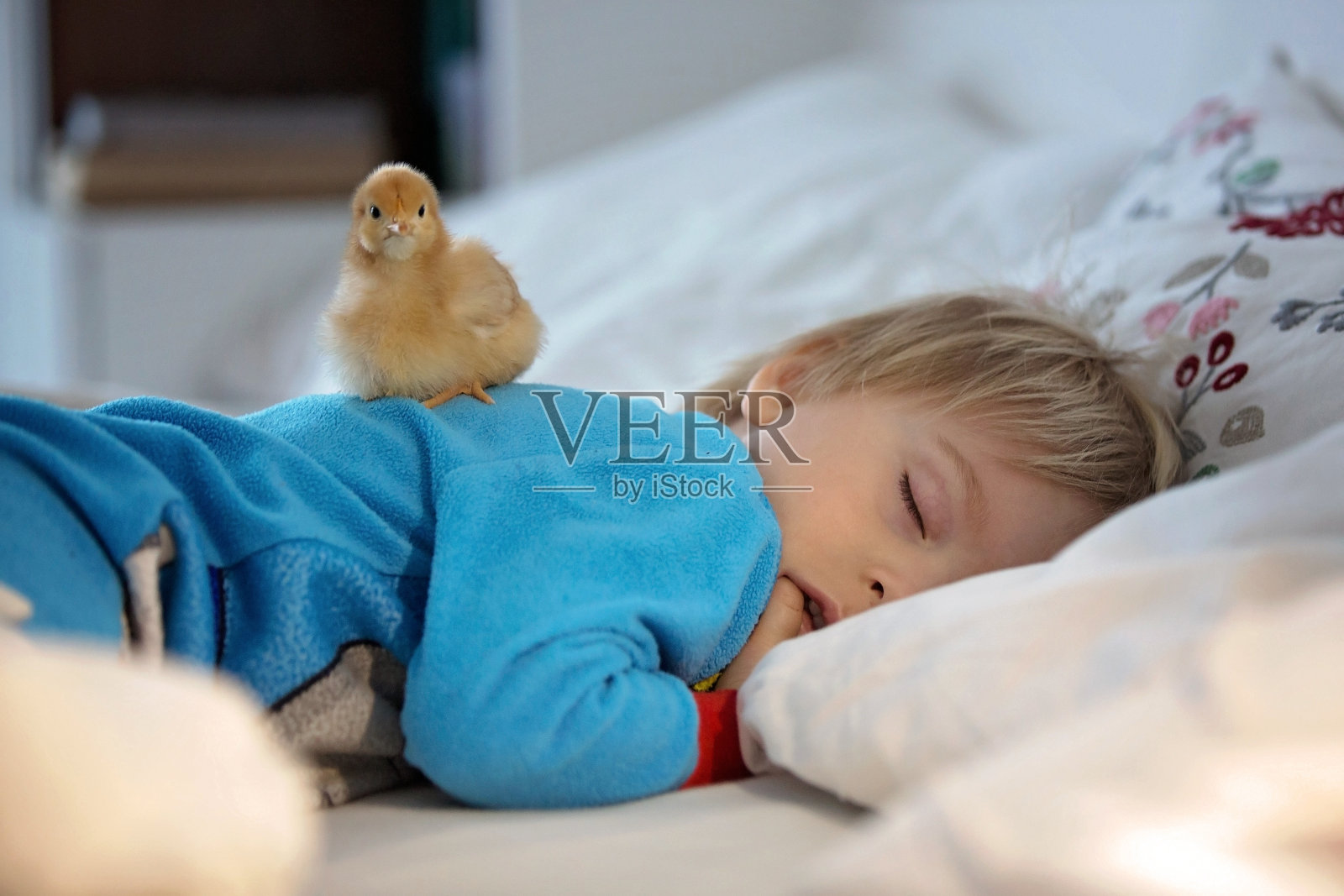一个蹒跚学步的小孩，和一个小妞睡在床上照片摄影图片