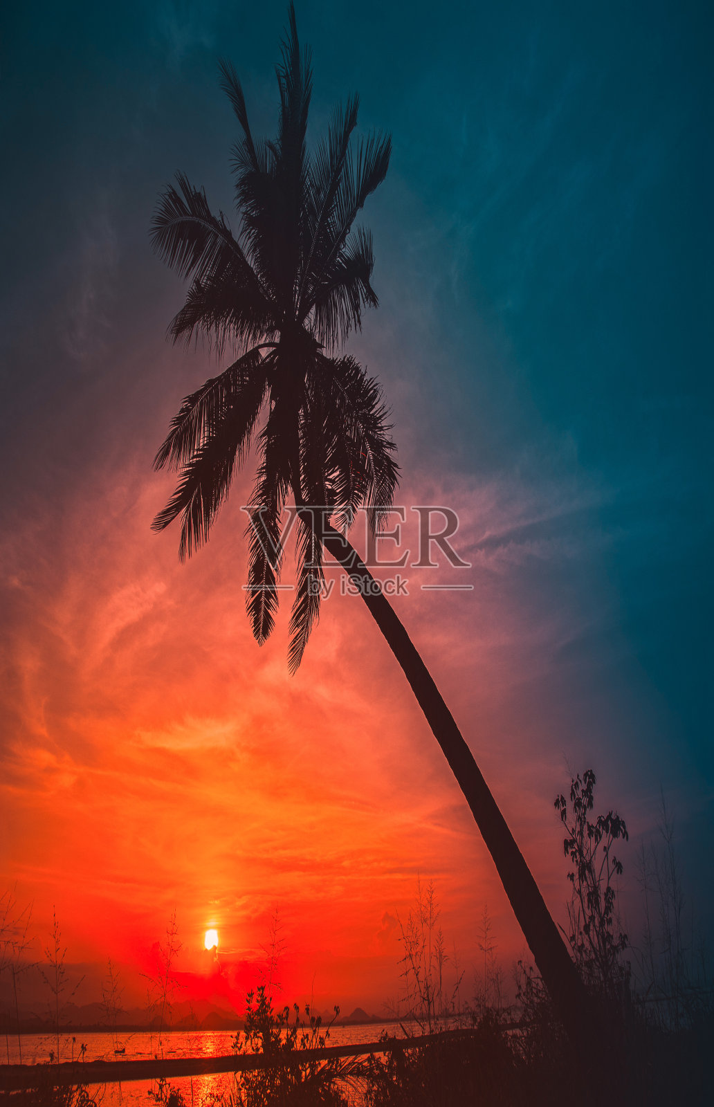 日落时海滩上椰子树的剪影。复古的基调。照片摄影图片