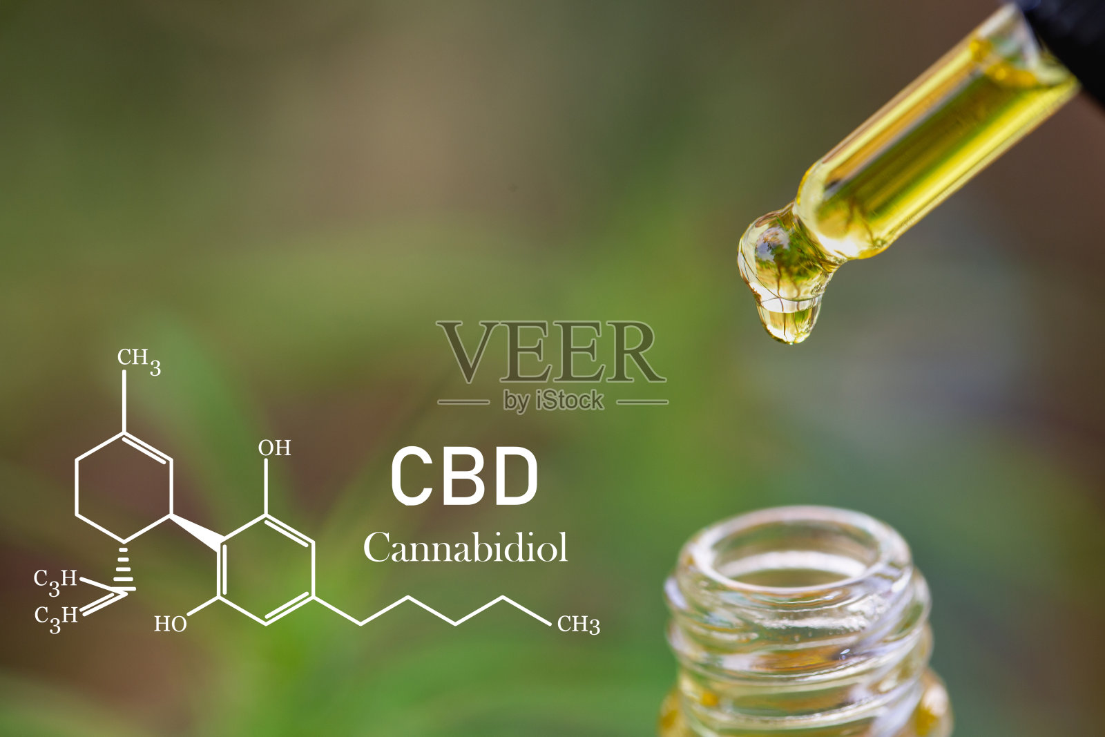 大麻中的CBD元素，点滴剂量的生物和生态大麻植物草药CBD油从一个瓶子。草药替代医学的概念。照片摄影图片