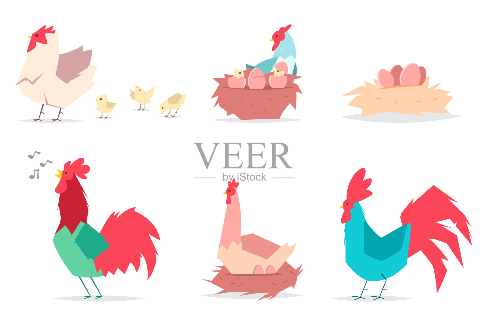 母鸡和鸡蛋，小鸡和公鸡。矢量平套鸡和公鸡孤立在白色背景。插画图片素材