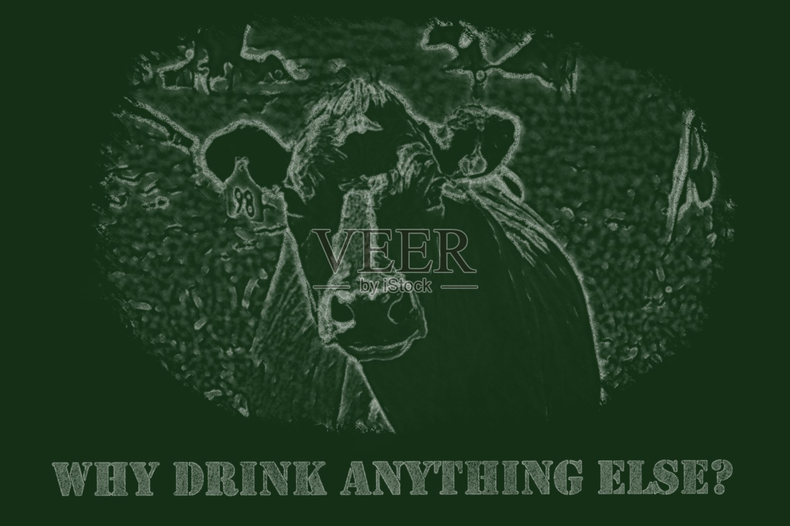 黑板-牛-为什么喝其他东西?照片摄影图片