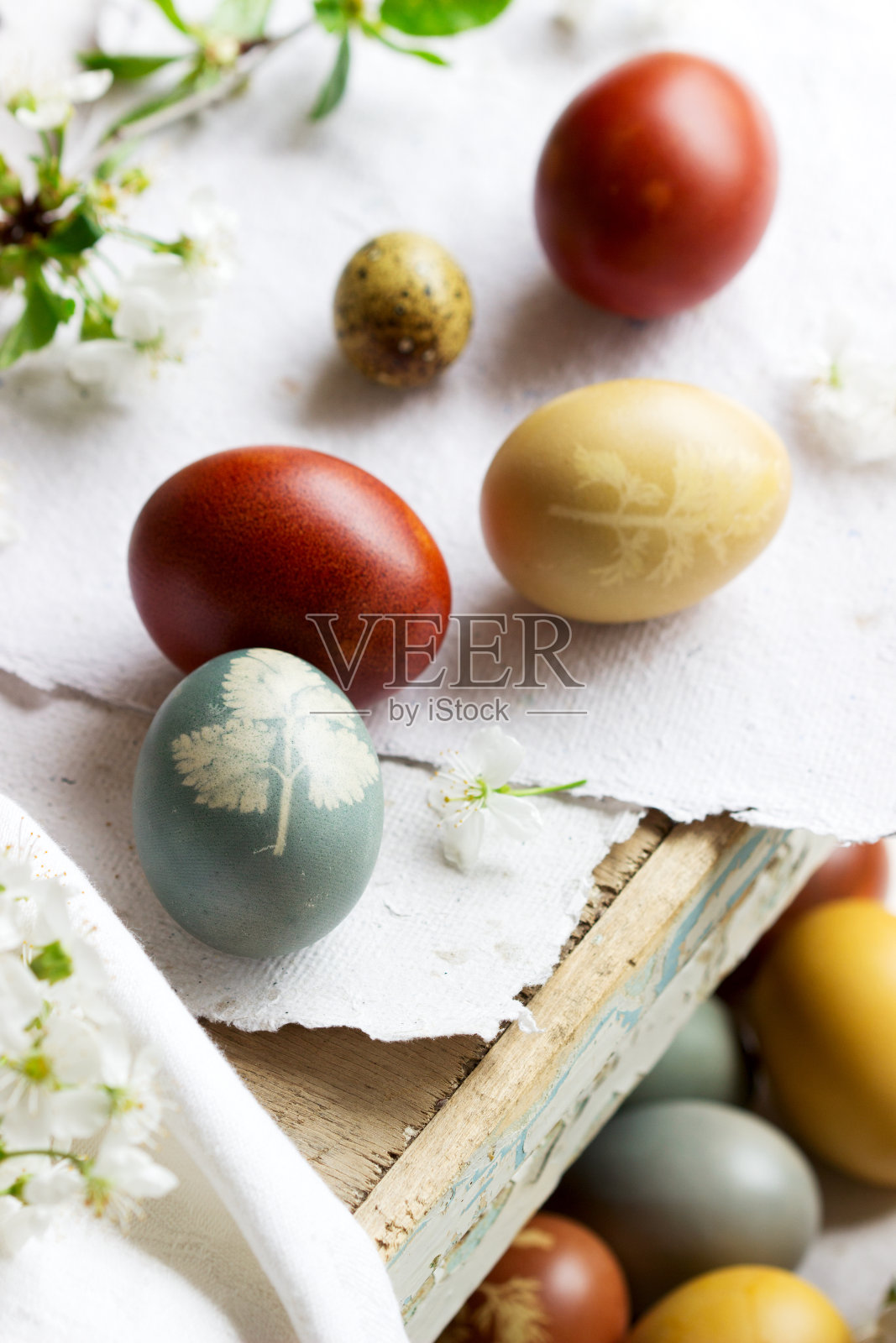 用天然染料染色的复活节彩蛋，卷心菜，洋甘菊，木槿和洋葱皮。照片摄影图片