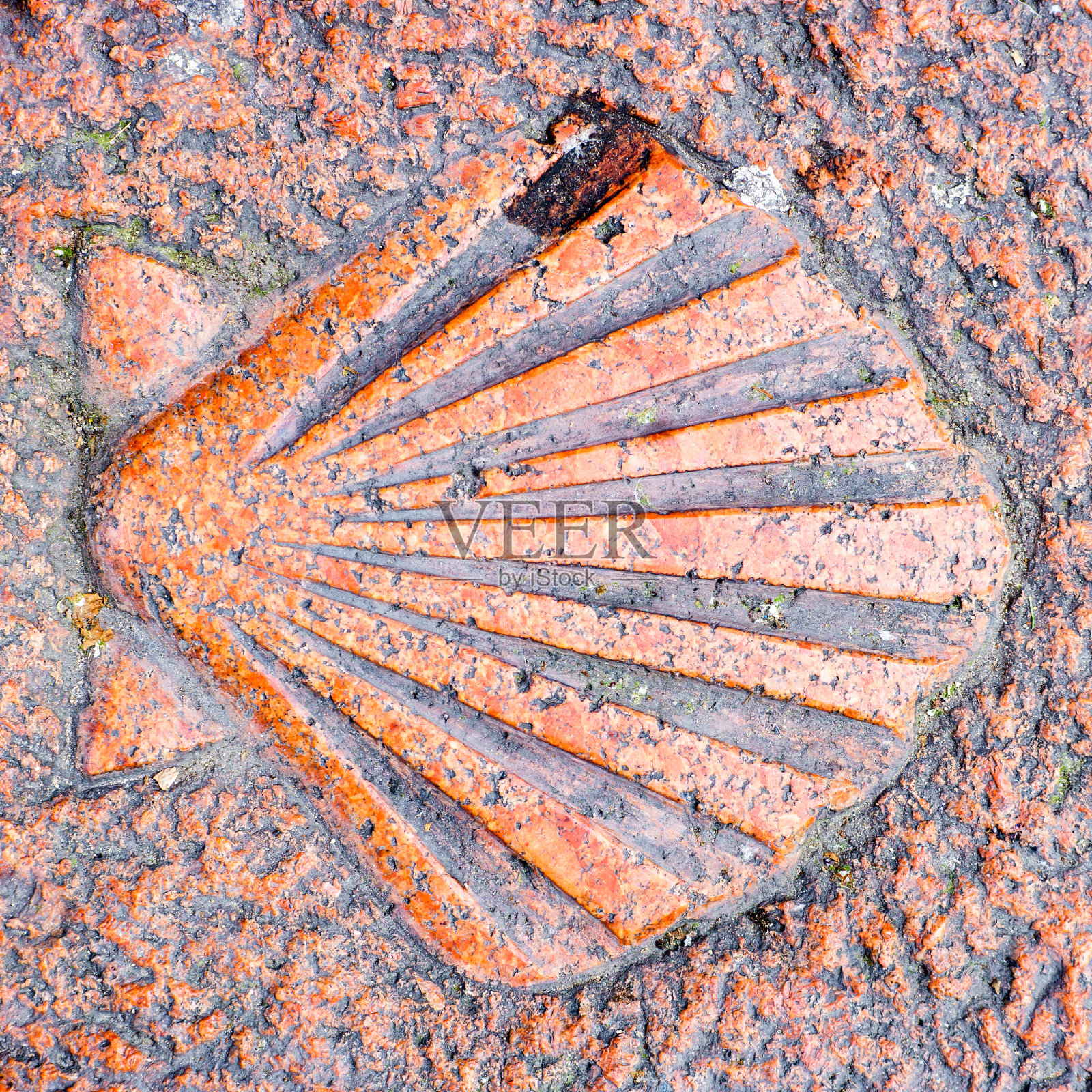 花岗岩扇贝贝壳标志照片摄影图片