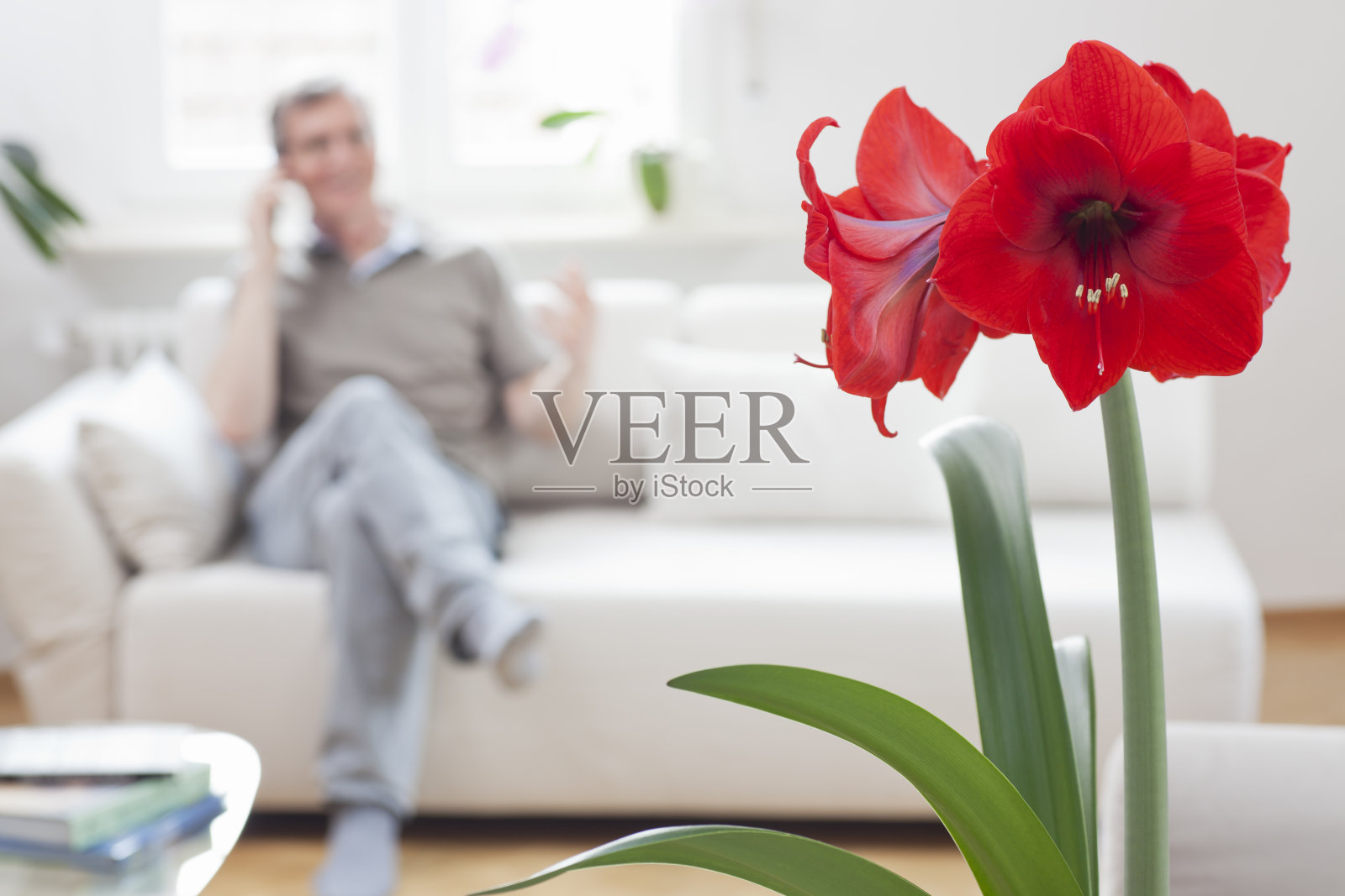 在一个明亮的客厅里，一个成熟的男人坐在沙发上打电话，专注于前景中红色的挺花照片摄影图片
