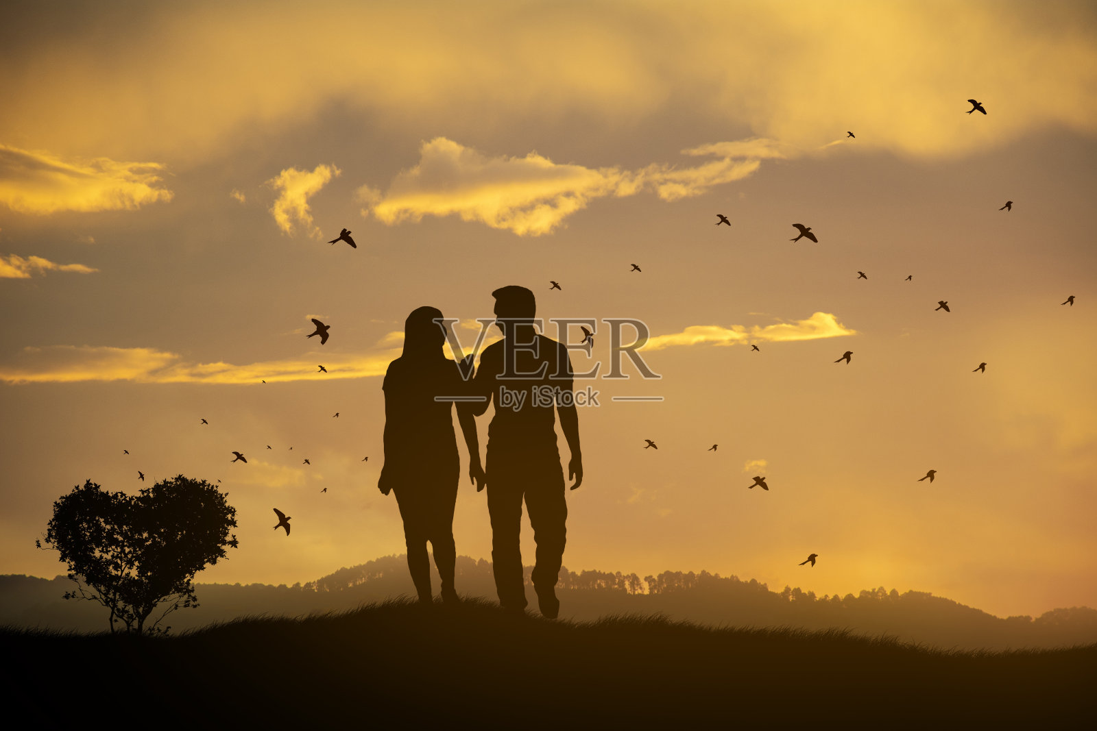 一对年轻夫妇在草地上欣赏日落照片摄影图片