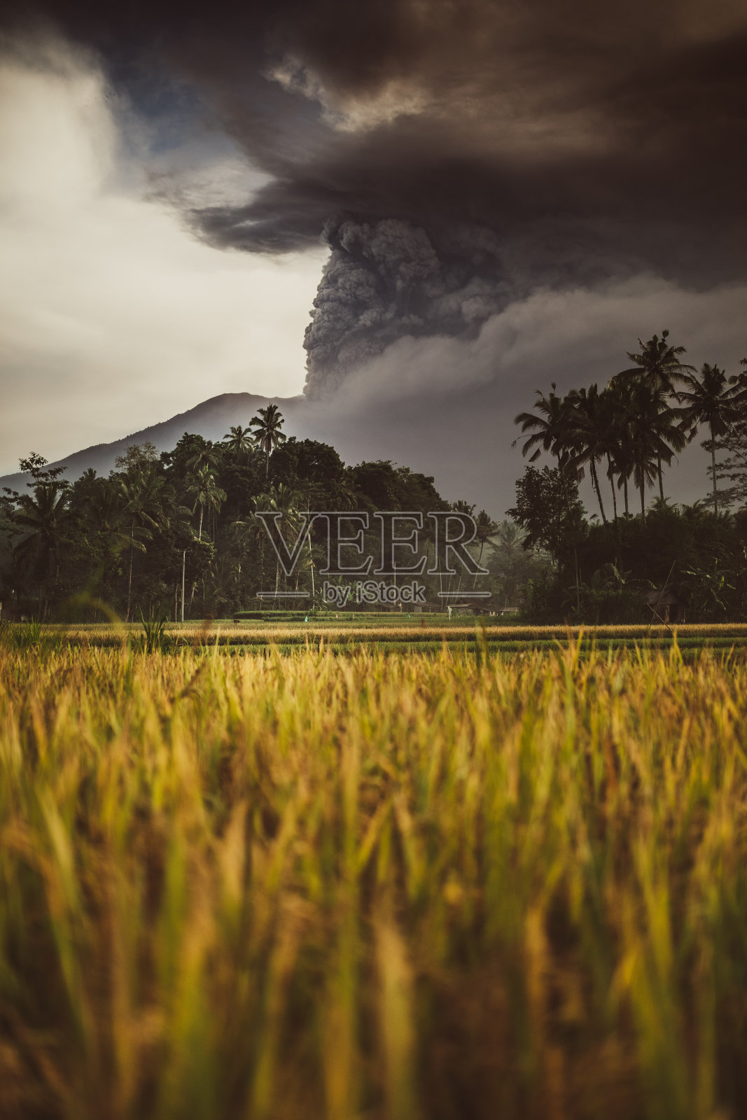 印度尼西亚阿邦省阿贡火山爆发照片摄影图片