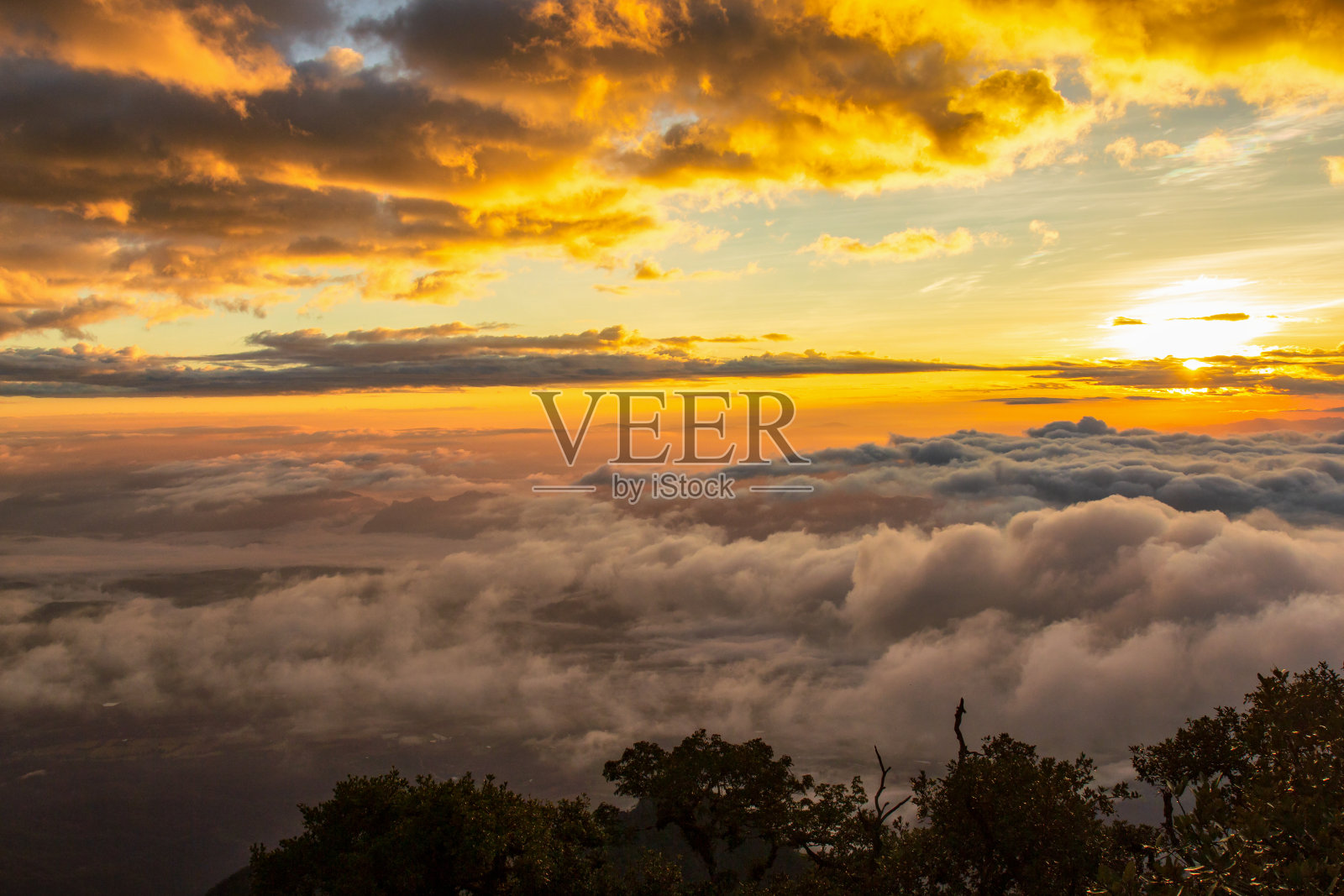 美丽的山脉和薄雾在日出时间在Doi Luang Chiang岛照片摄影图片