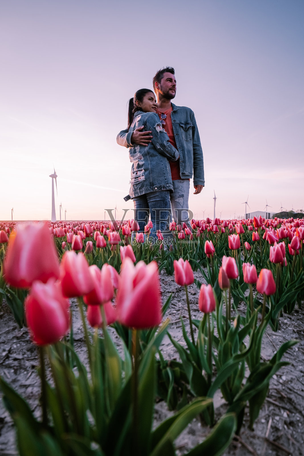 在荷兰Noordoostpolder欧洲，一对快乐的年轻男女穿着衣服在荷兰的花田摆姿势照片摄影图片